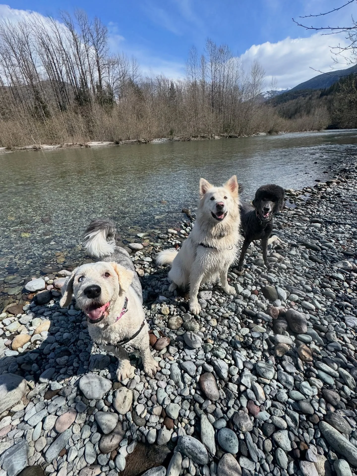 River excursion kinda day ☀️🌷