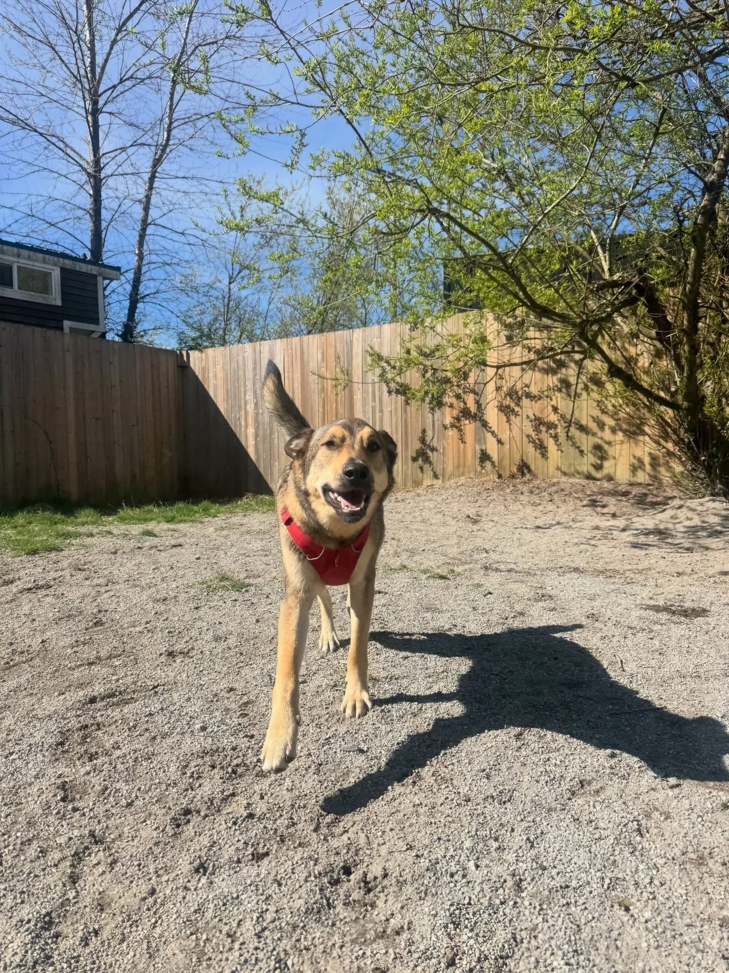 When we aren&rsquo;t on the trails, you can find us enjoying our facility and soaking up the sun in our yards ☀️🌳