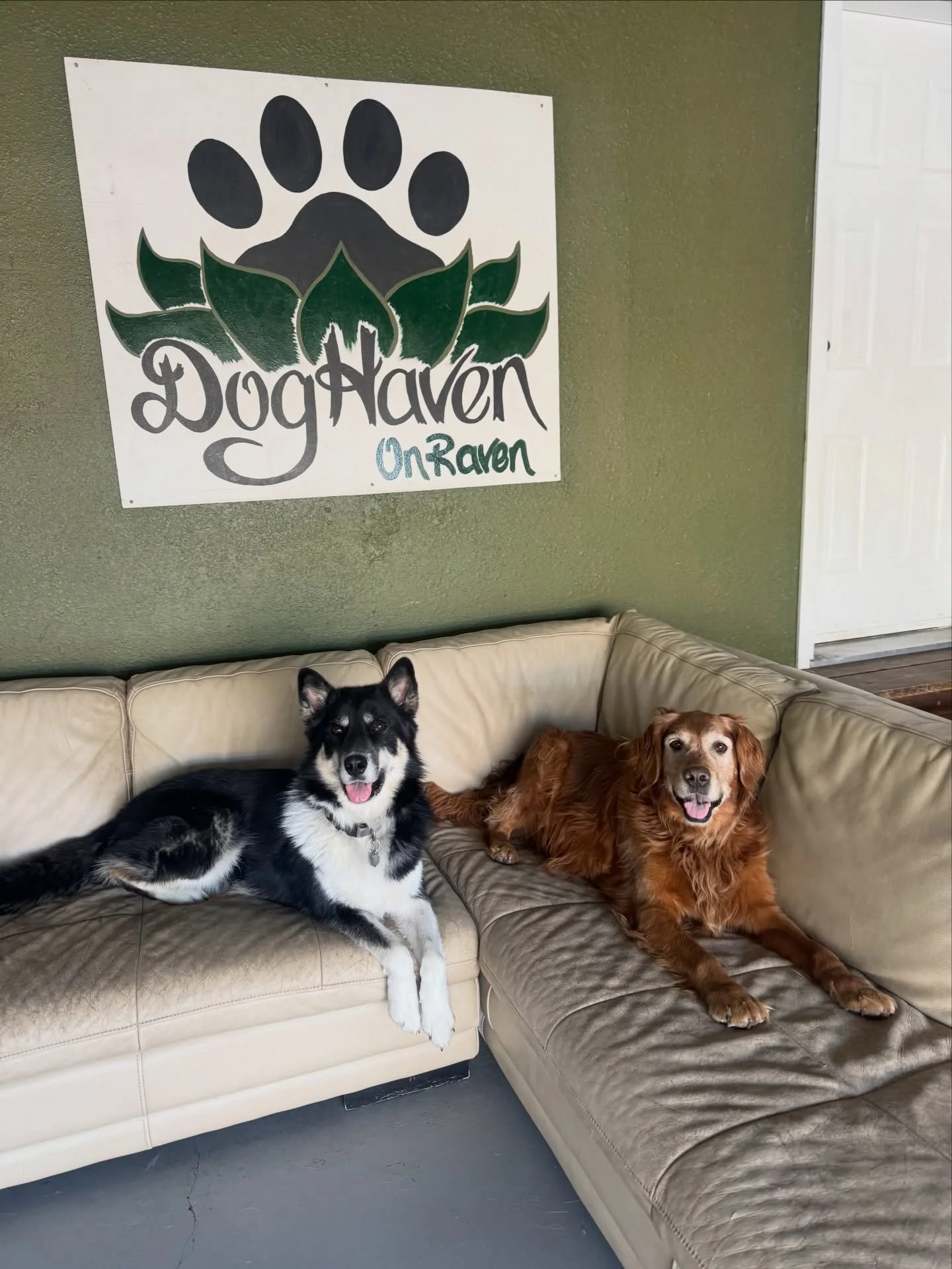 Happy Friday friends!🐾