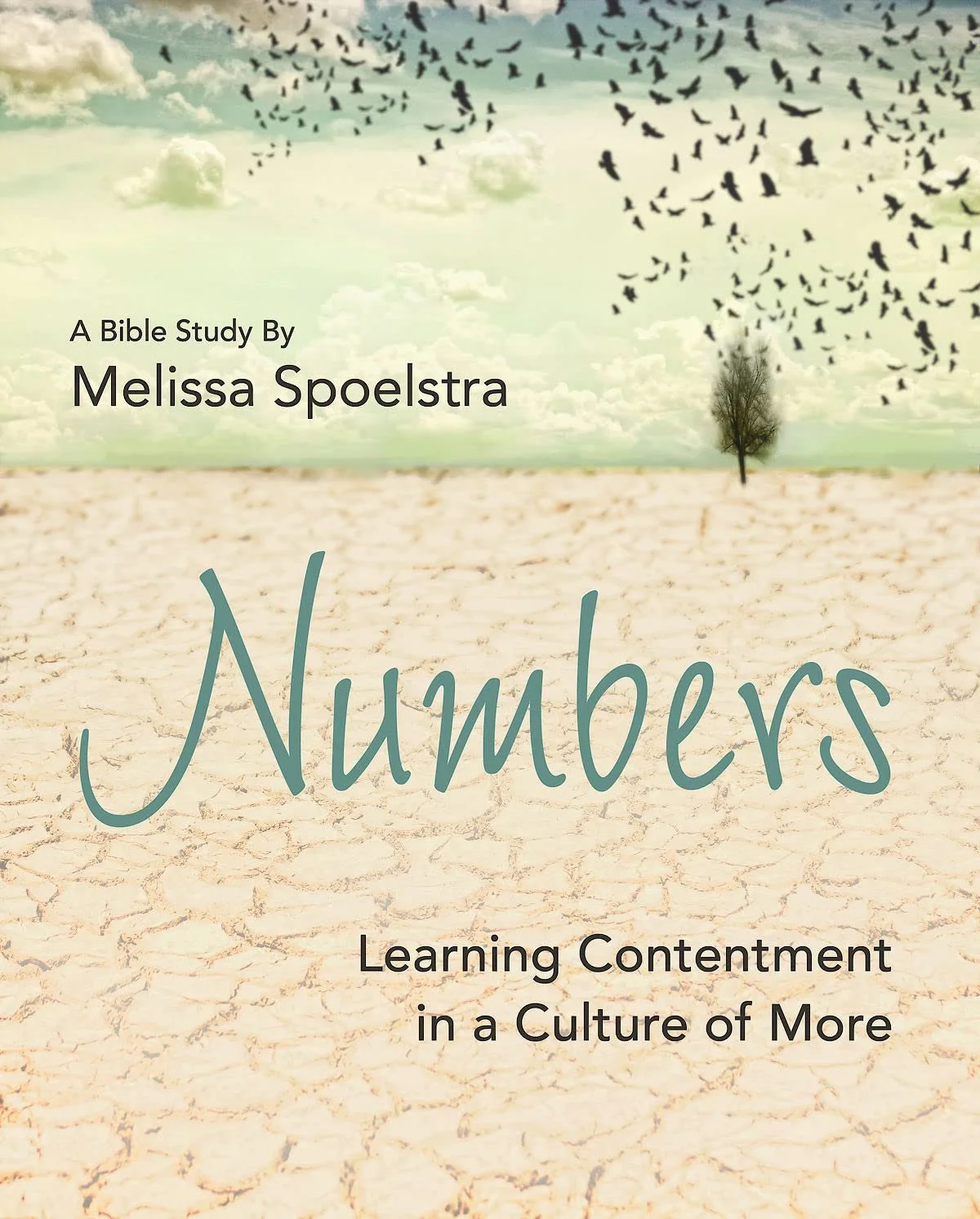 Numbers: Learning contentment in a culture of more