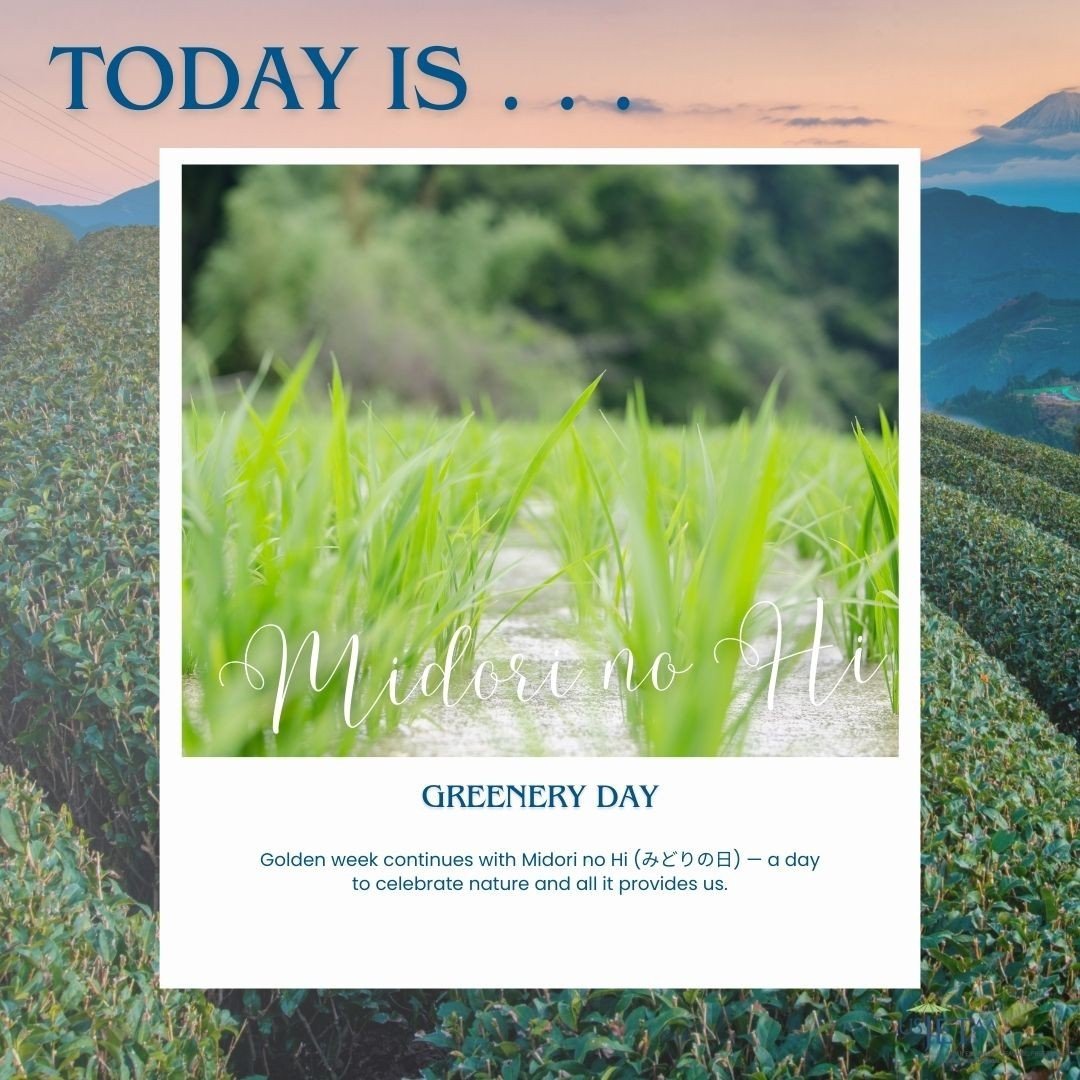 Greenery Day is often around the same time as the first green tea harvests of the season, making it a great time to relax in a tea house or make a nice cup of ocha at home to appreciate this particularly wonderful greenery.⁠
⁠
ーーーーーーーーーーーーーーーーーーーーーーー