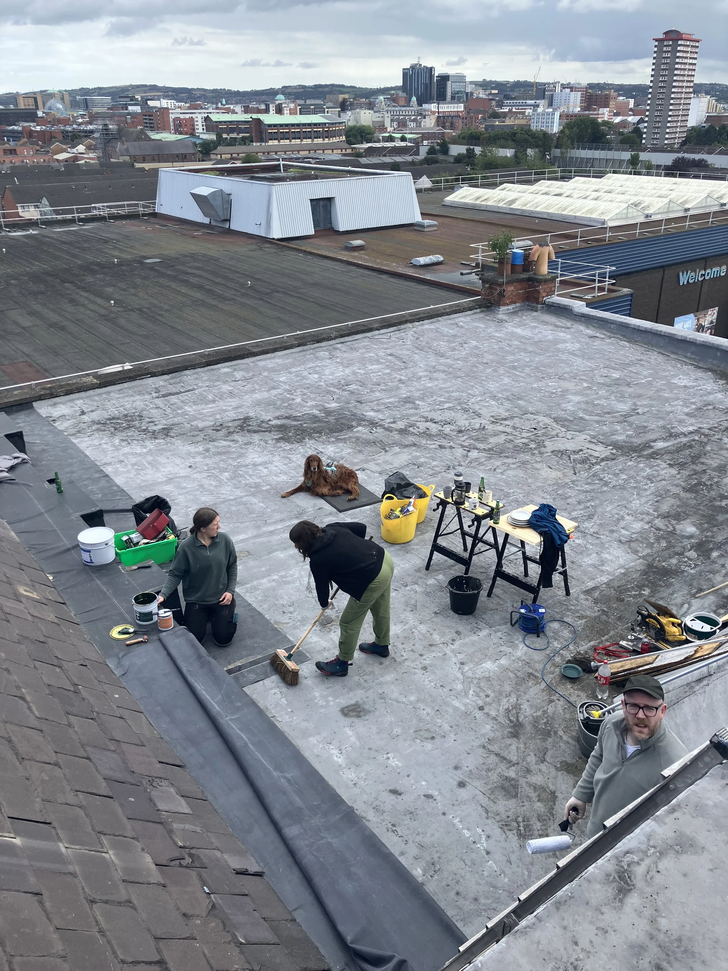 Shankill roof repair 3.jpeg
