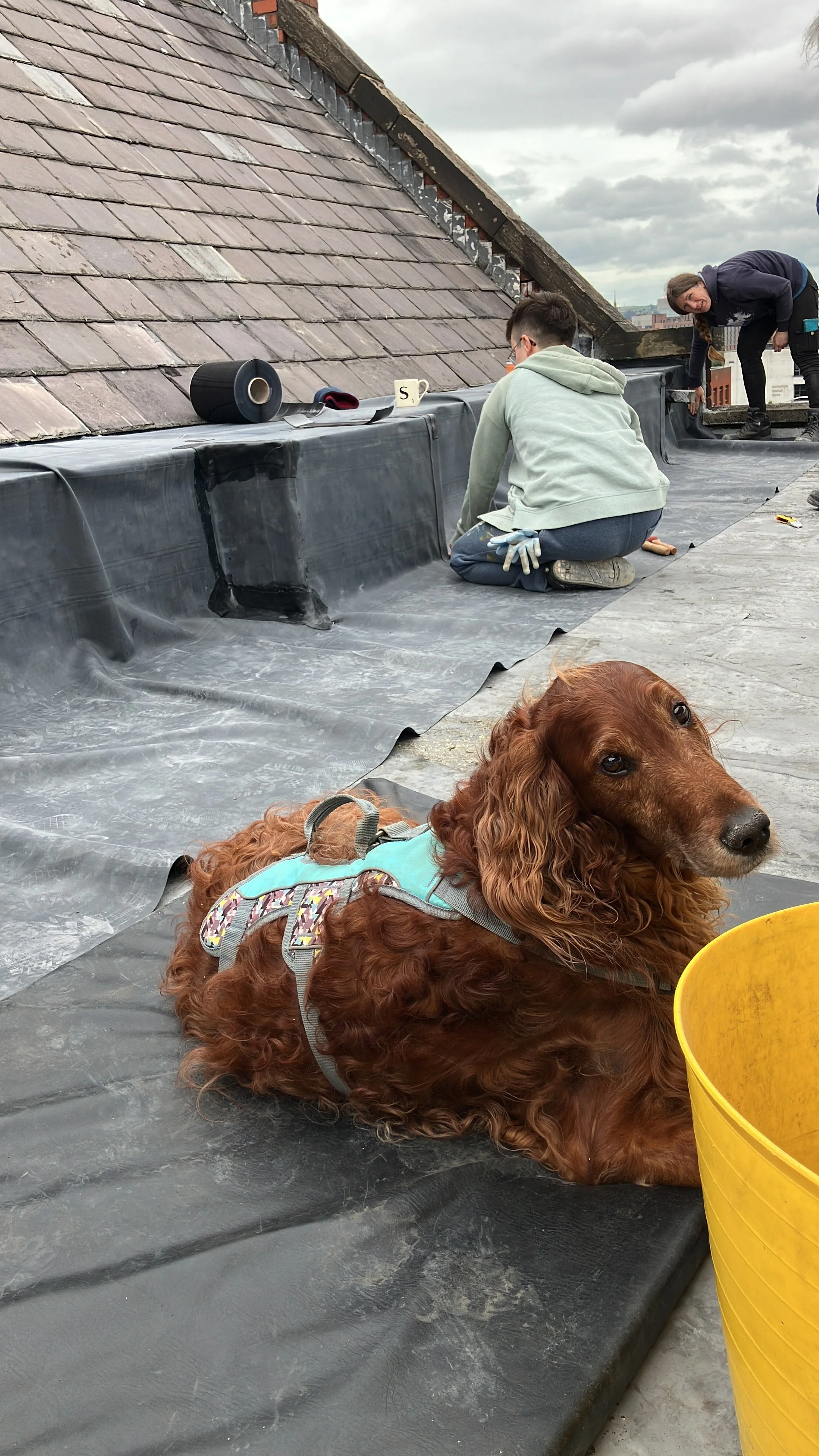 "Fixing a hole where the rain gets in"