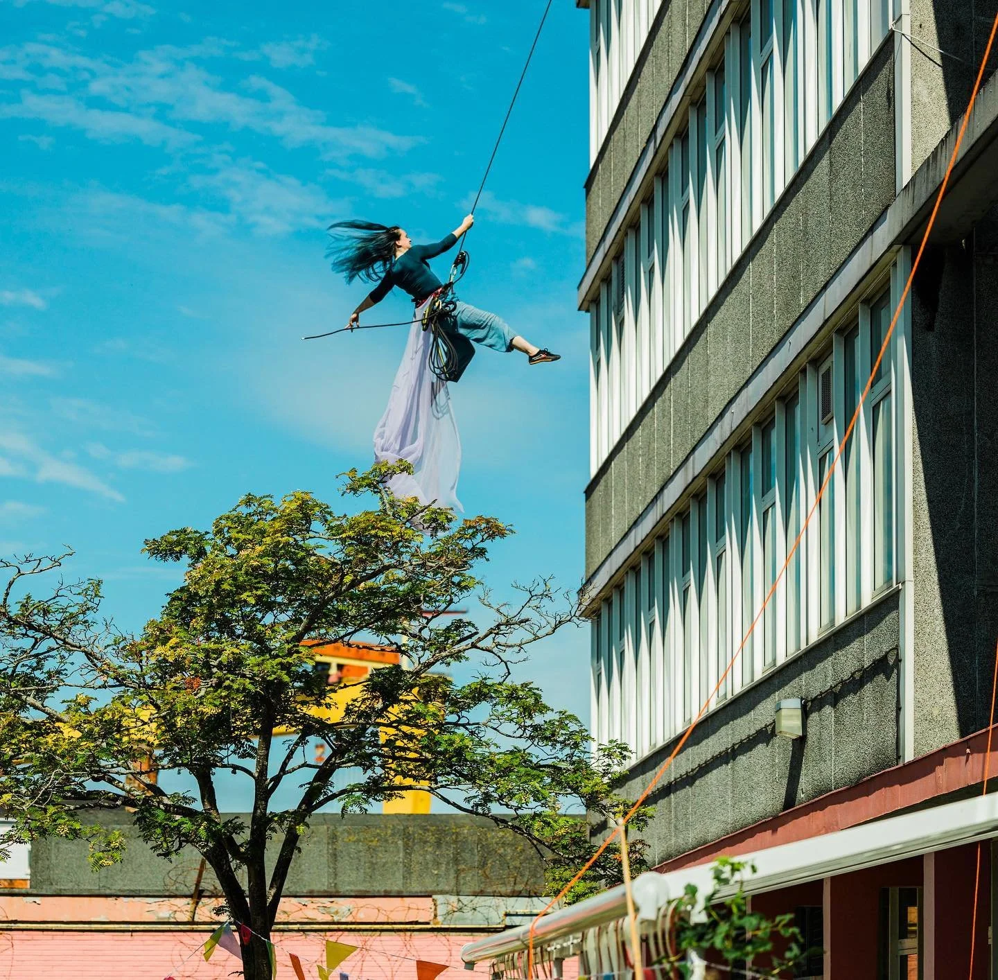 vault fringe ashton.jpg