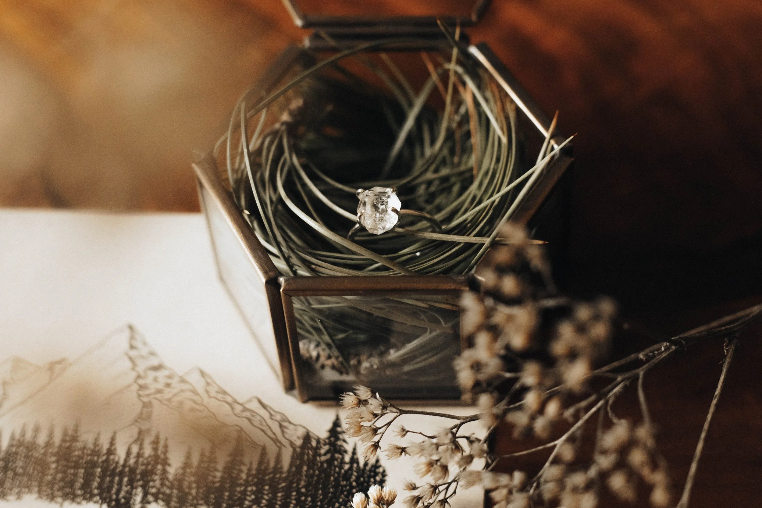 h&s.day1 (79 of 206).jpg