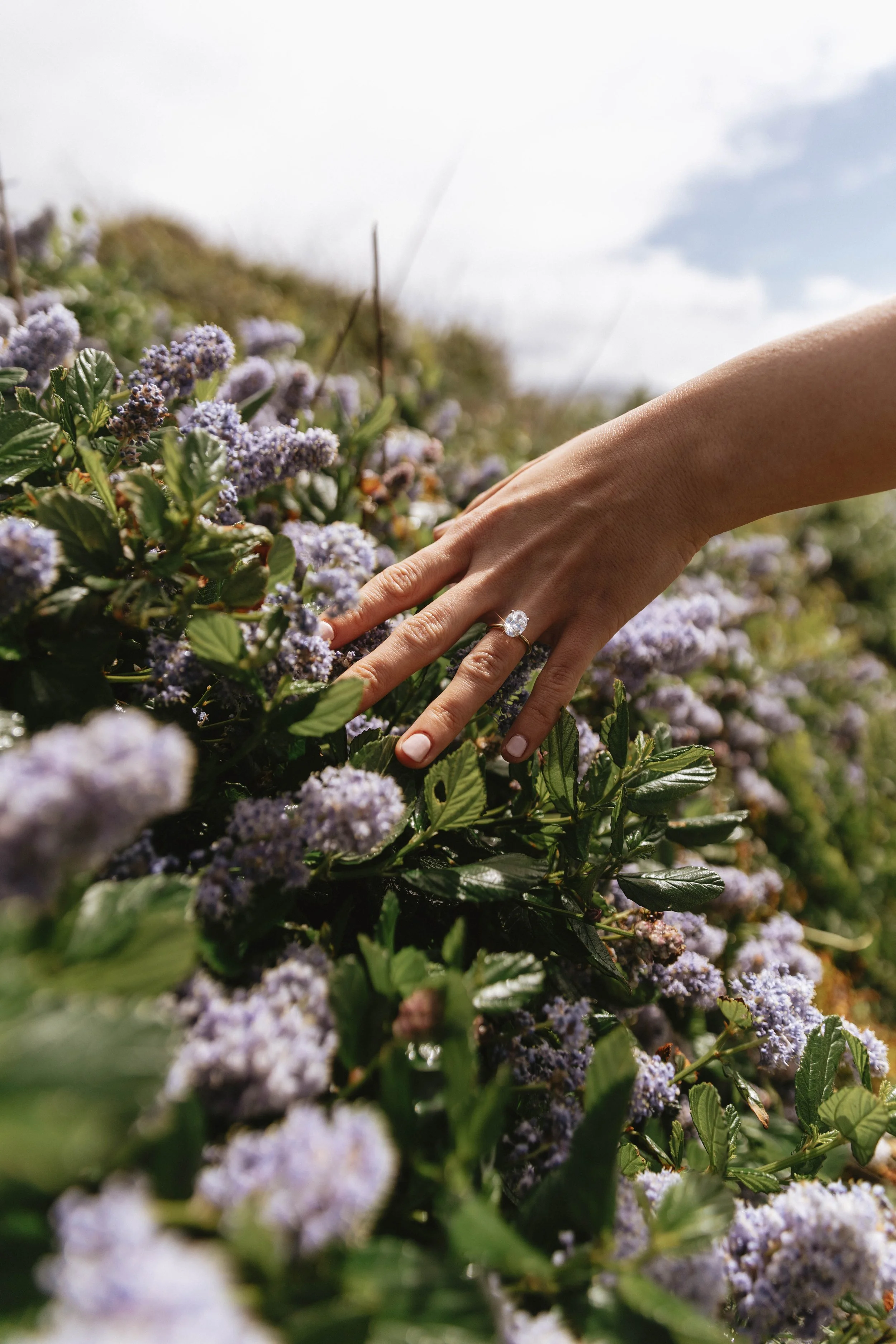 LMP.J+T.SNEAKS (6 of 10).JPG