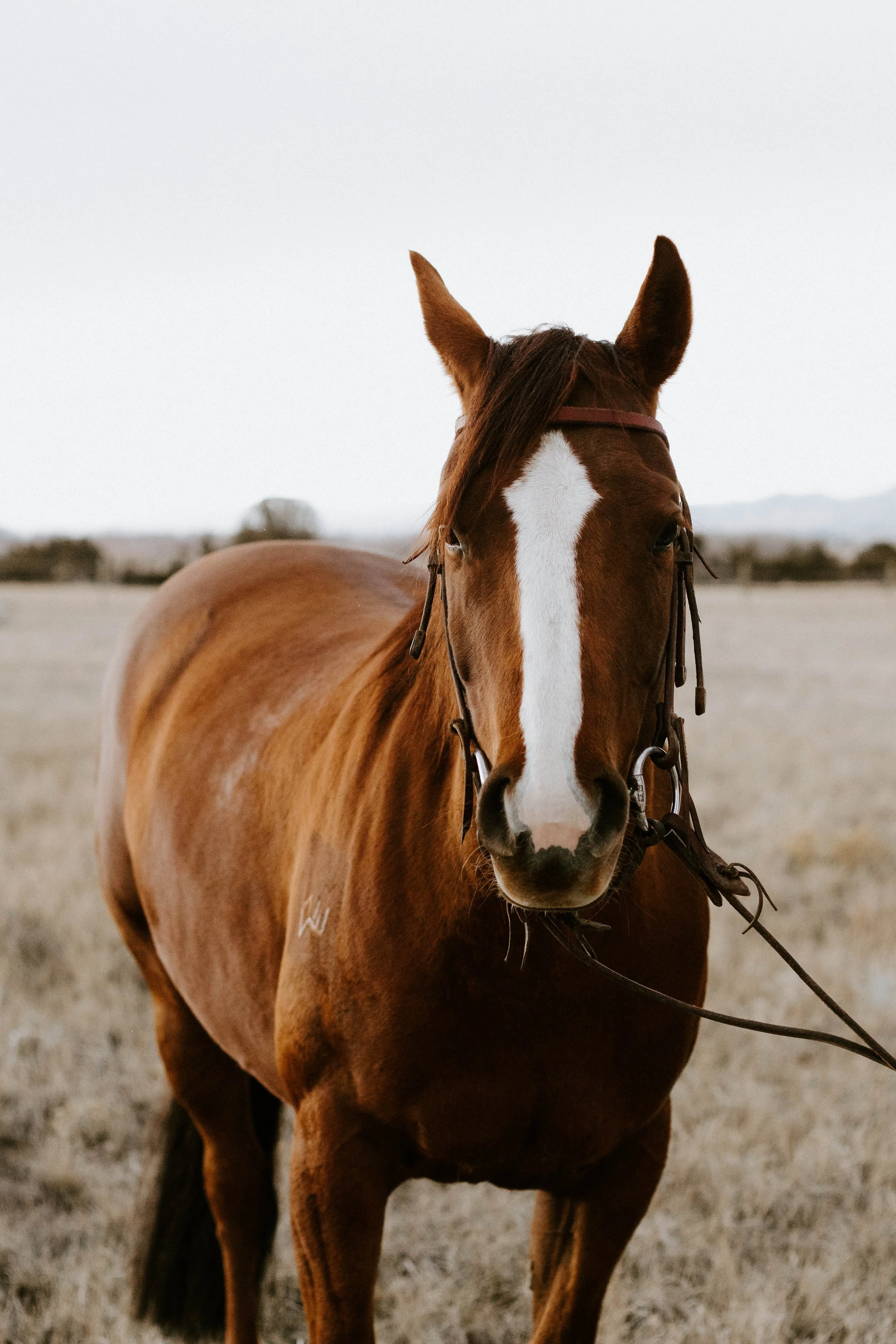 h&s.day1 (150 of 206).jpg