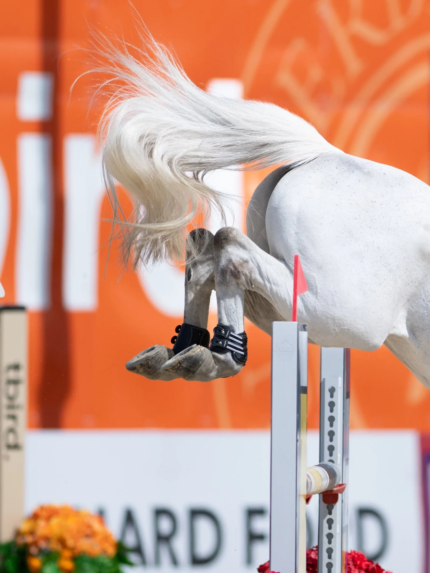 Jumping into the 2026 tbird season like: 📸🎥🌄✨🧡🍀