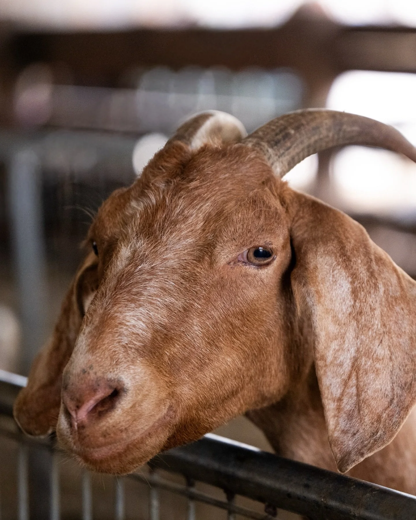 A day in Langley well-spent 🐐