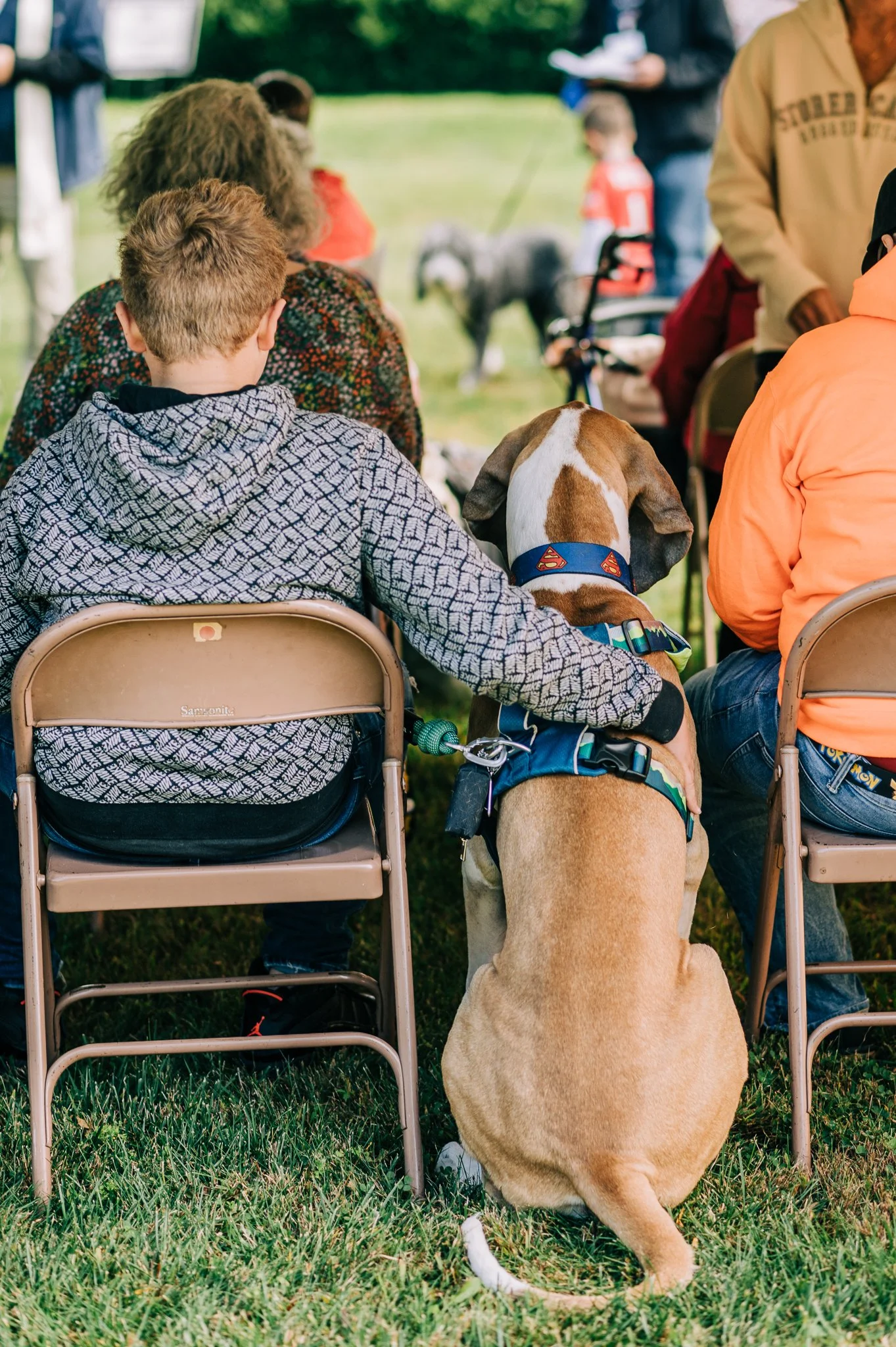 Outdoor, Pet Friendly Service