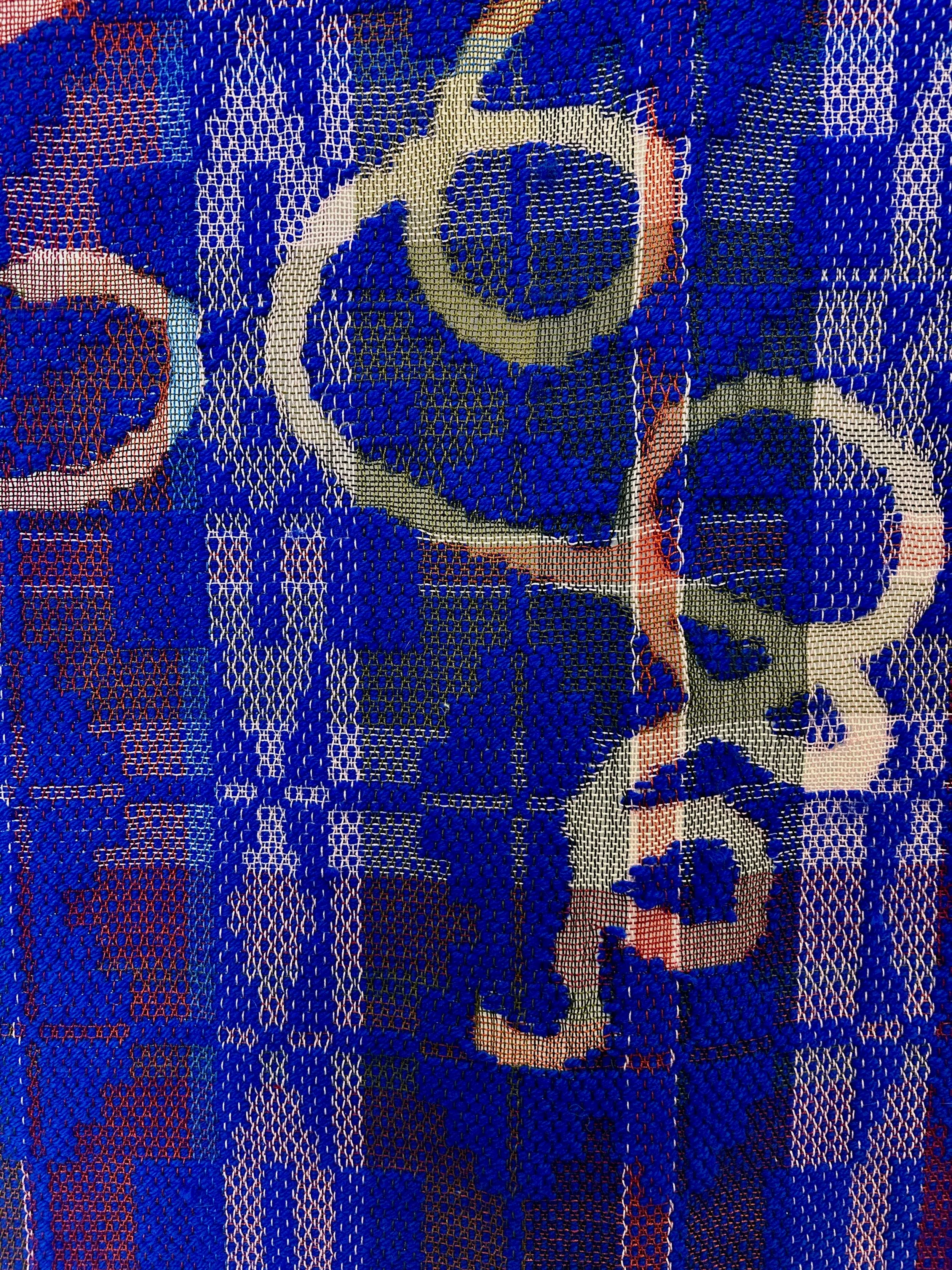 BlueKangaroo_closeup3.jpg