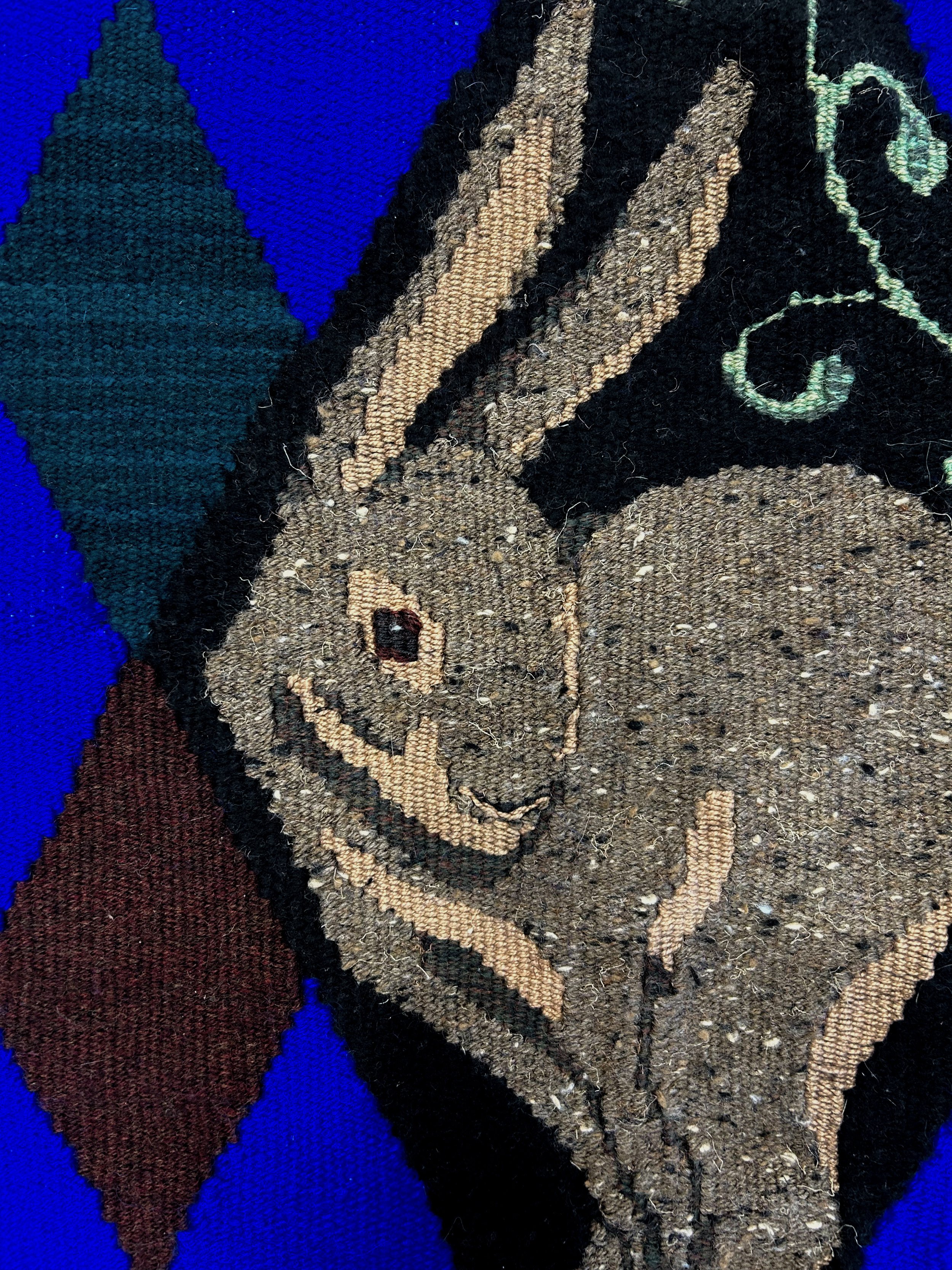 Jackrabbit_closeup.jpg