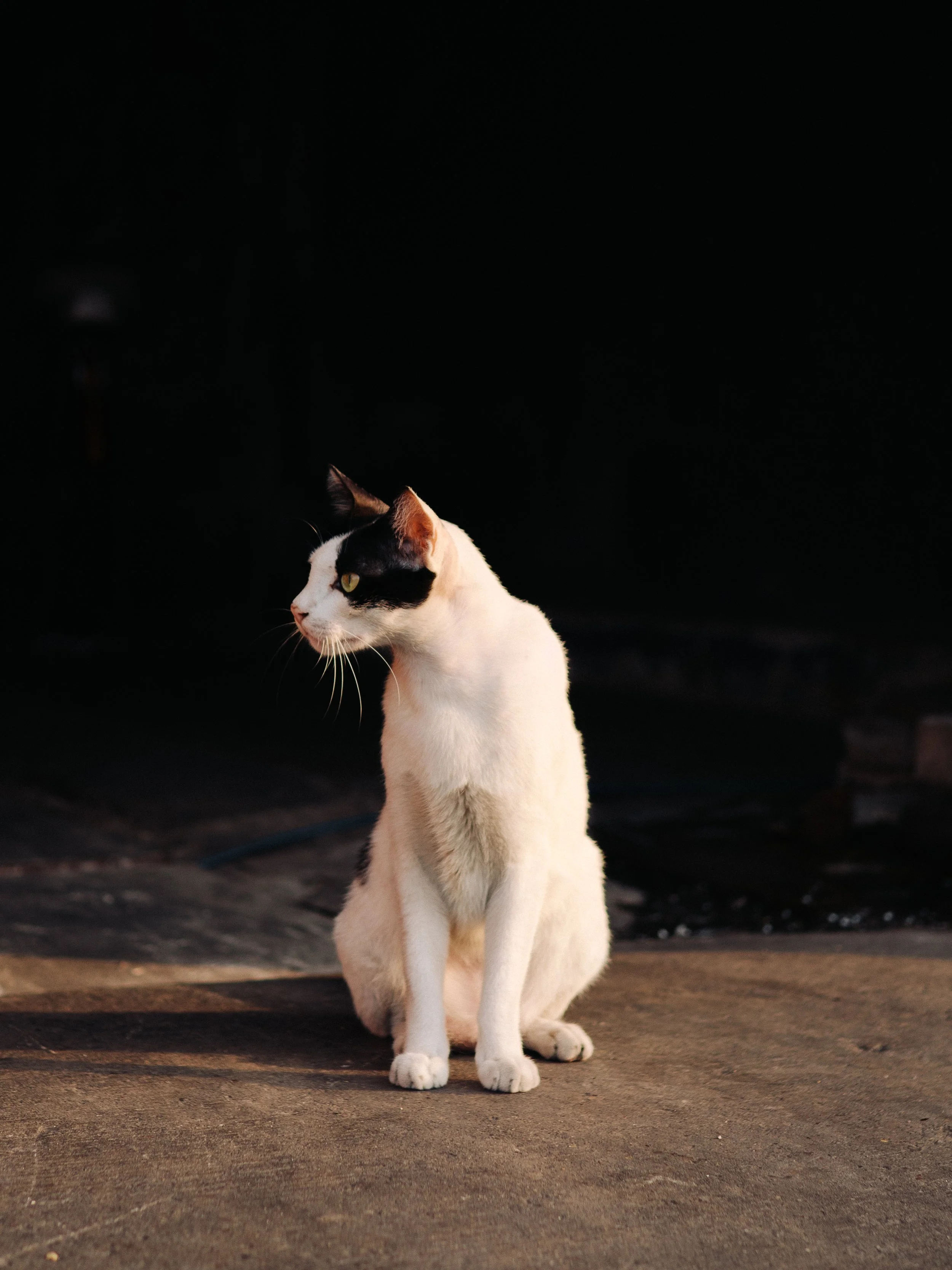thailand-4.jpg
