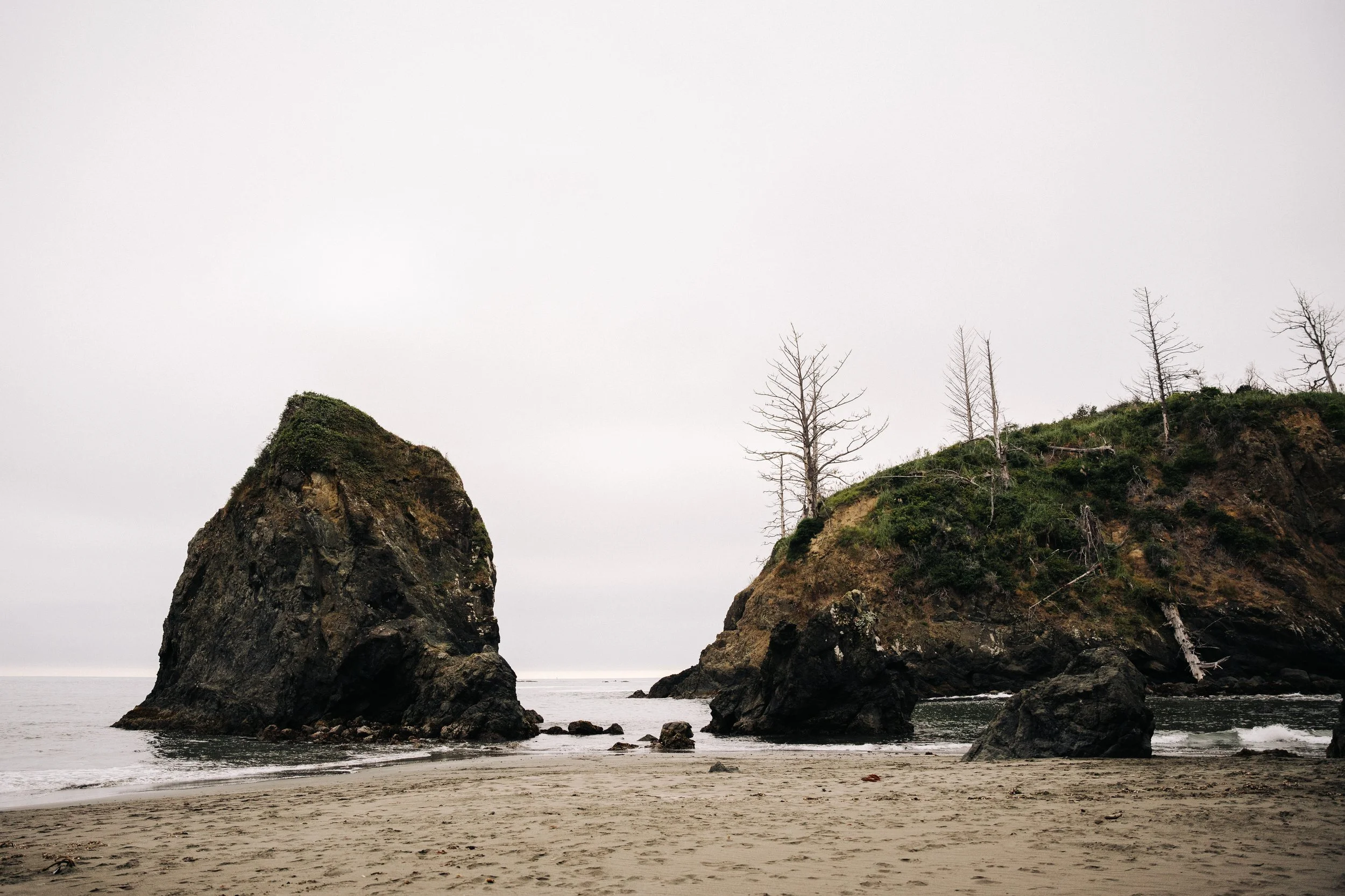 trinidad state beach-8.JPG