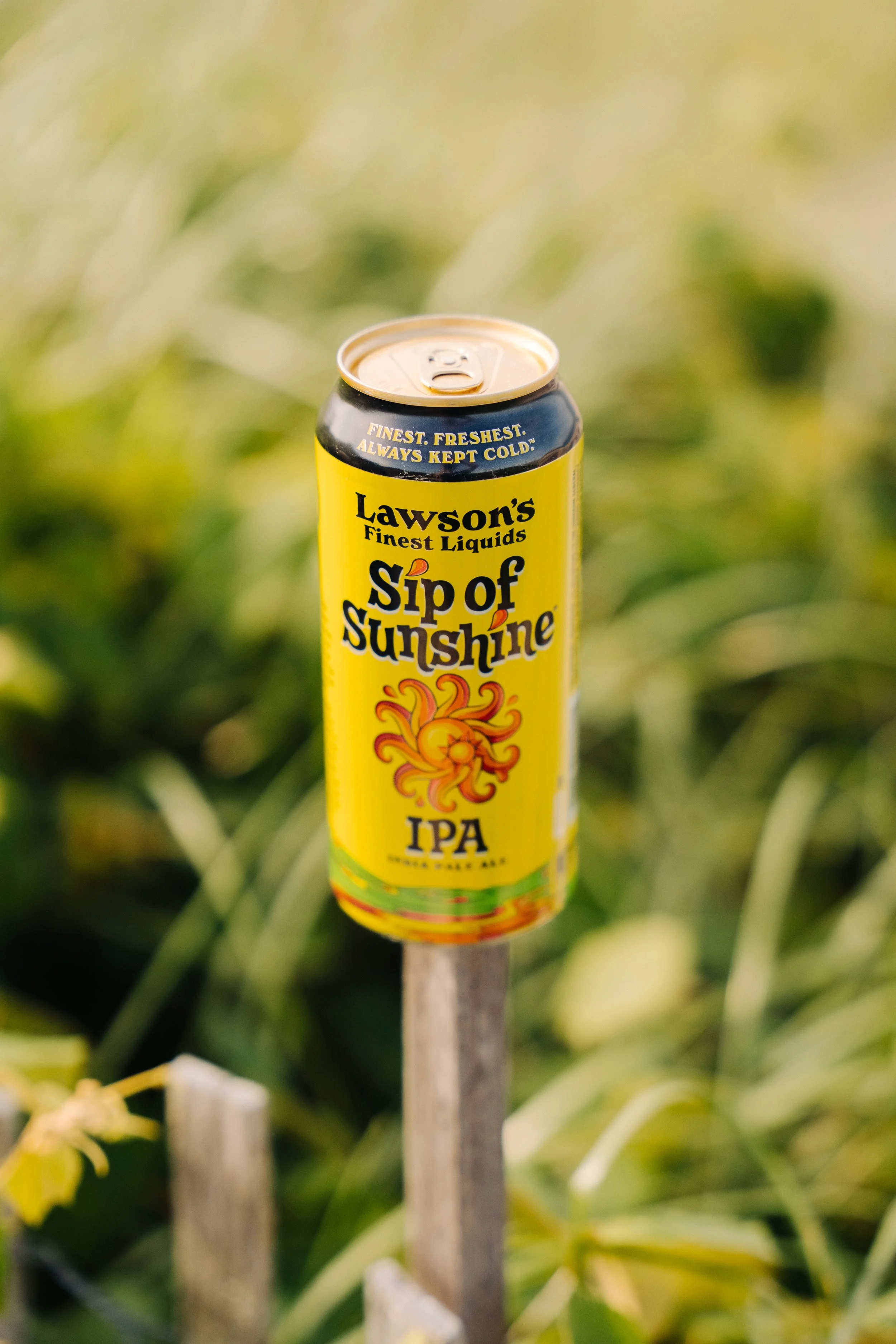 cape cod - lawson's-38.JPG