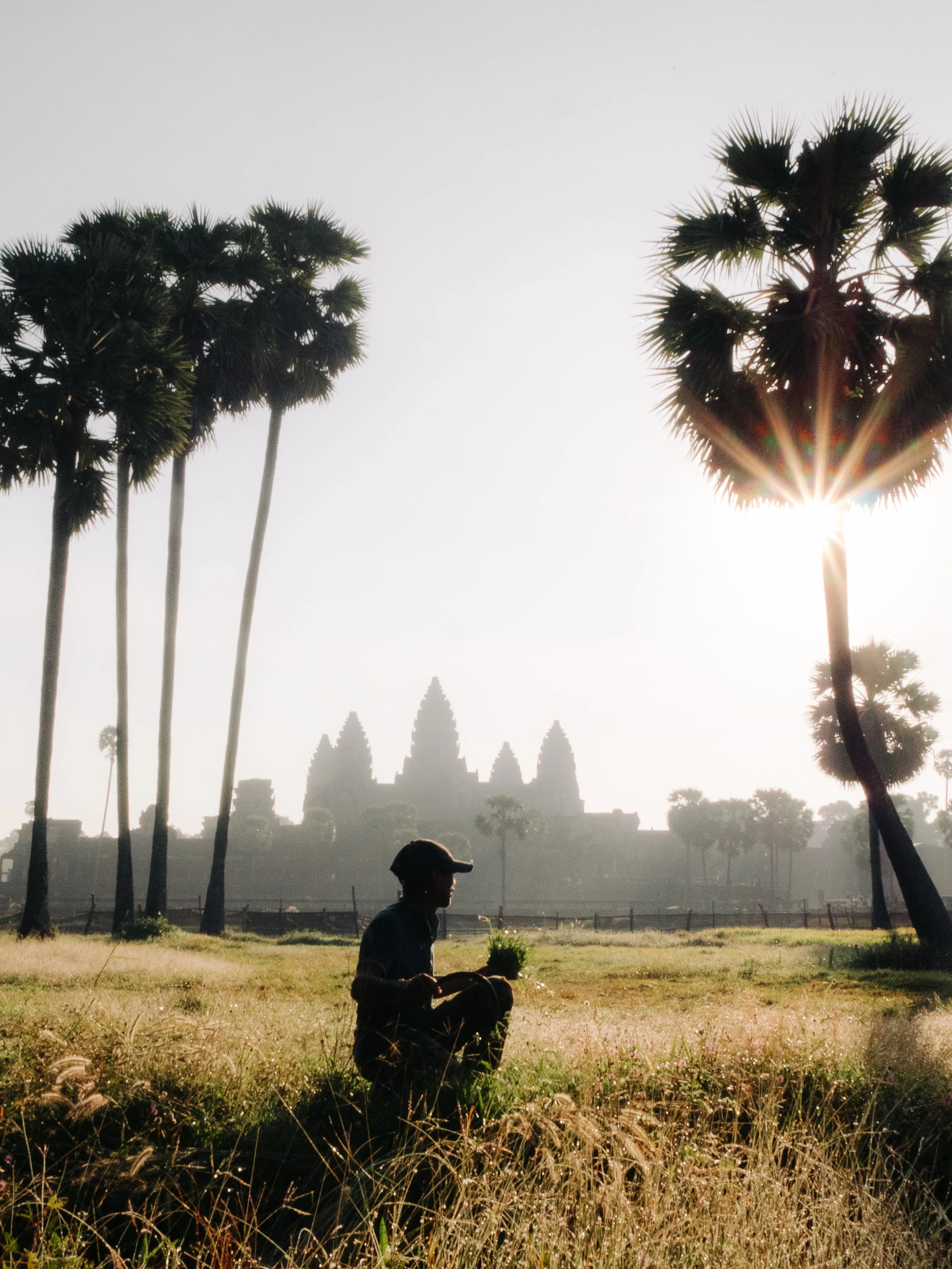 angkor wat - cambodia.jpg
