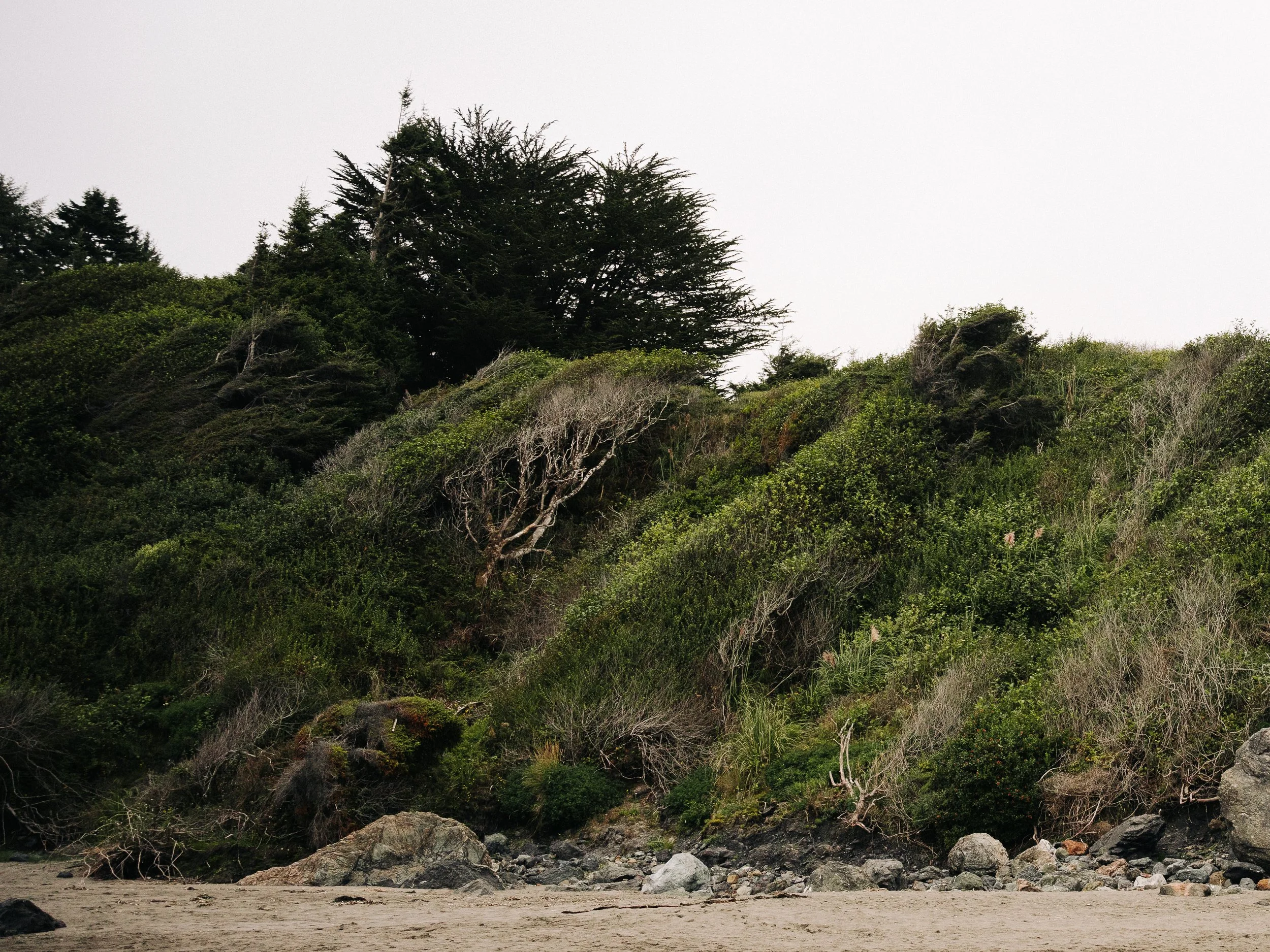 trinidad state beach-4.JPG