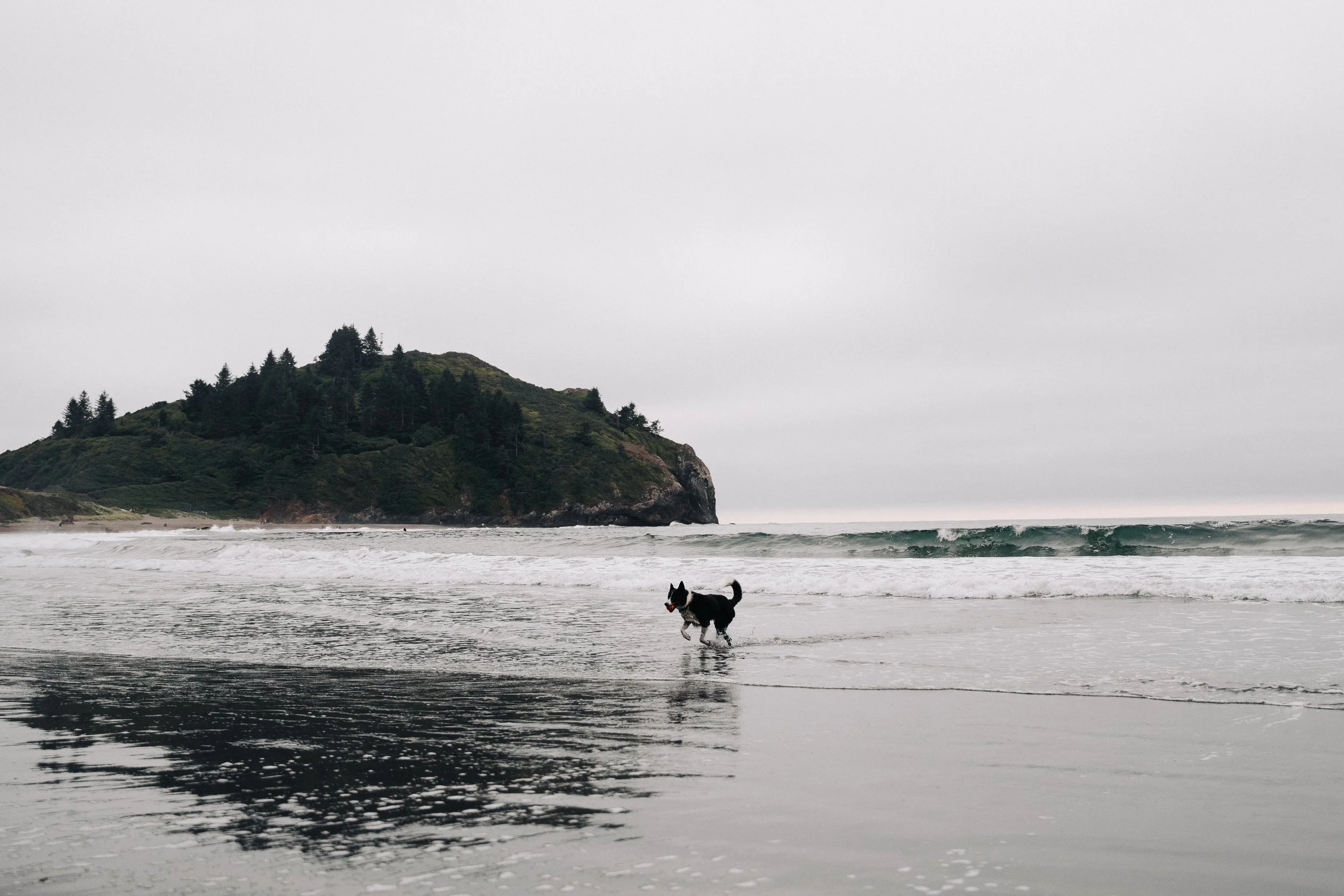 trinidad state beach-11.JPG