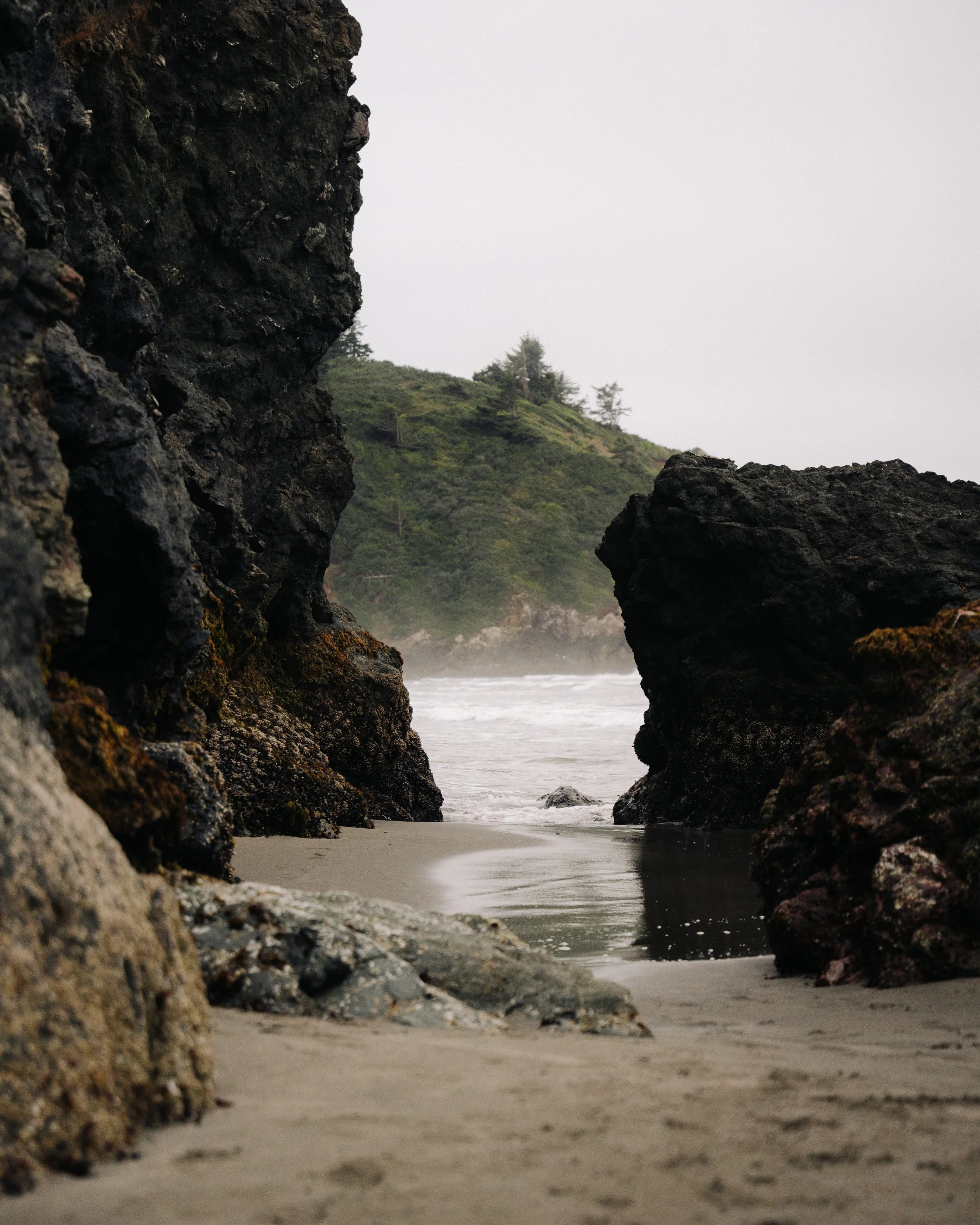 trinidad state beach-3.JPG