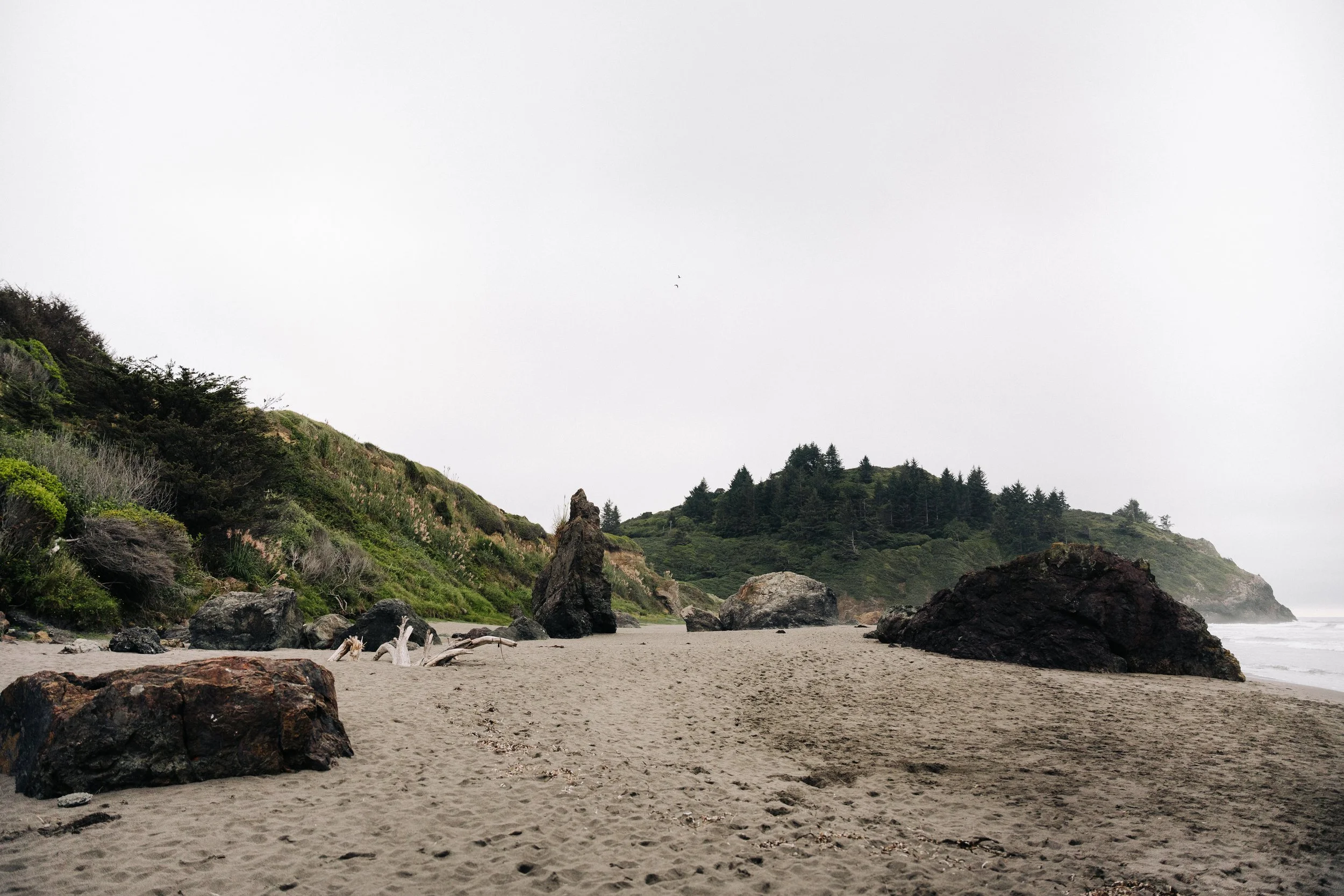 trinidad state beach-2.JPG