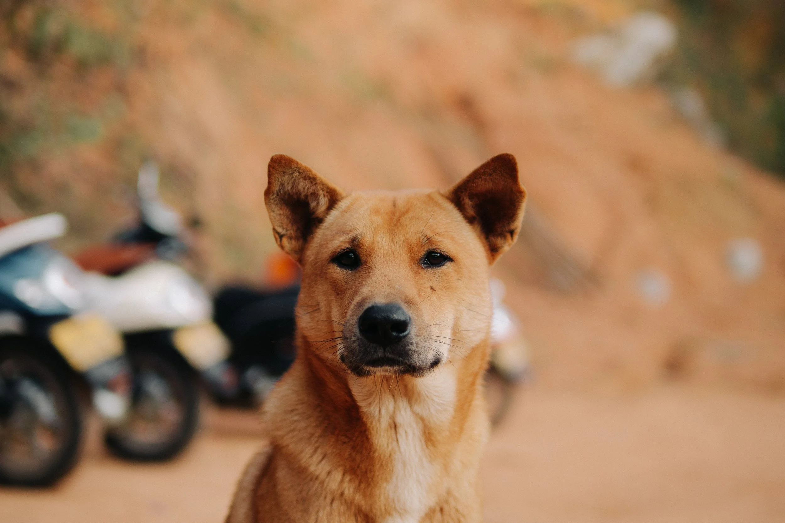 laos-11.jpg