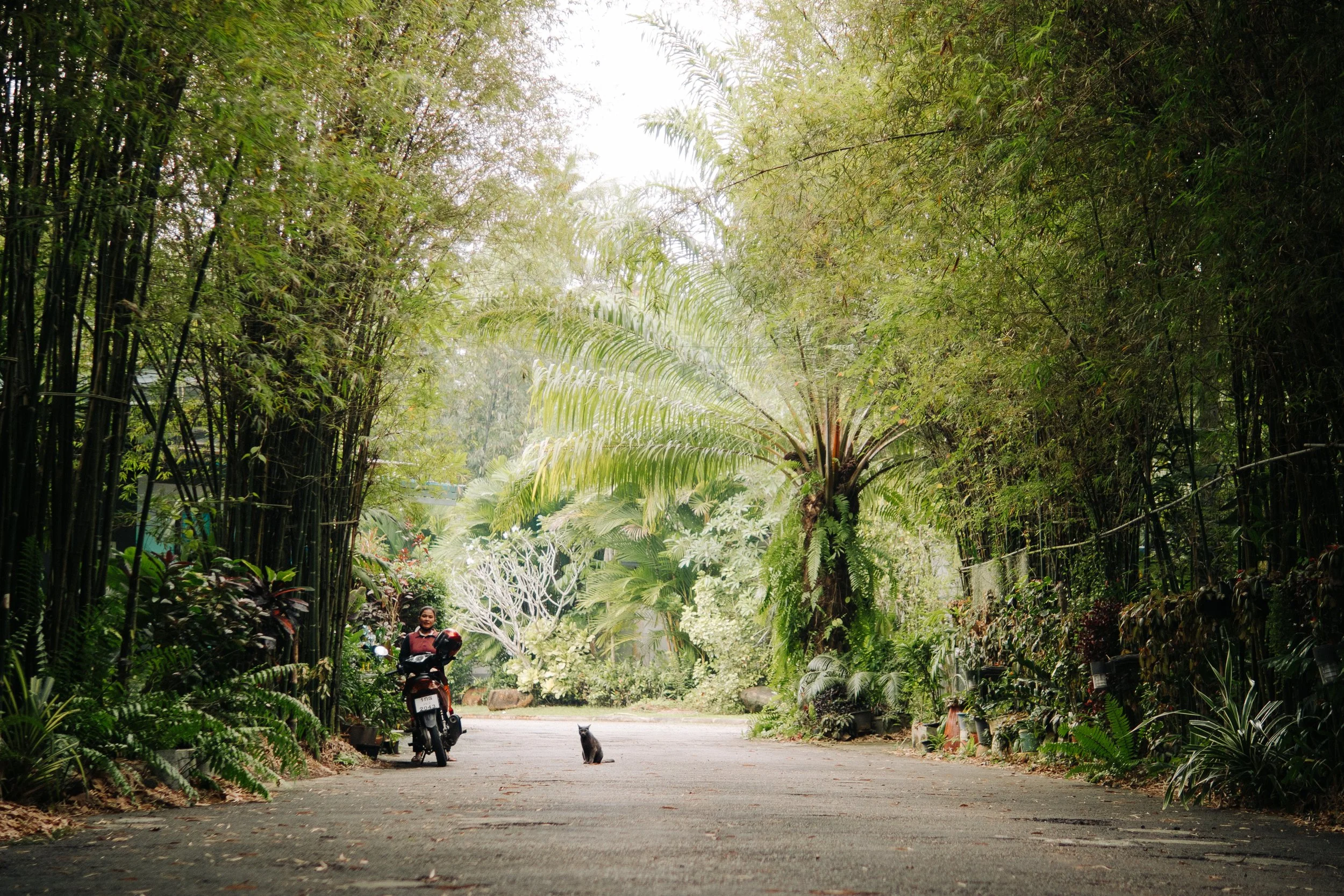 thailand-16.jpg