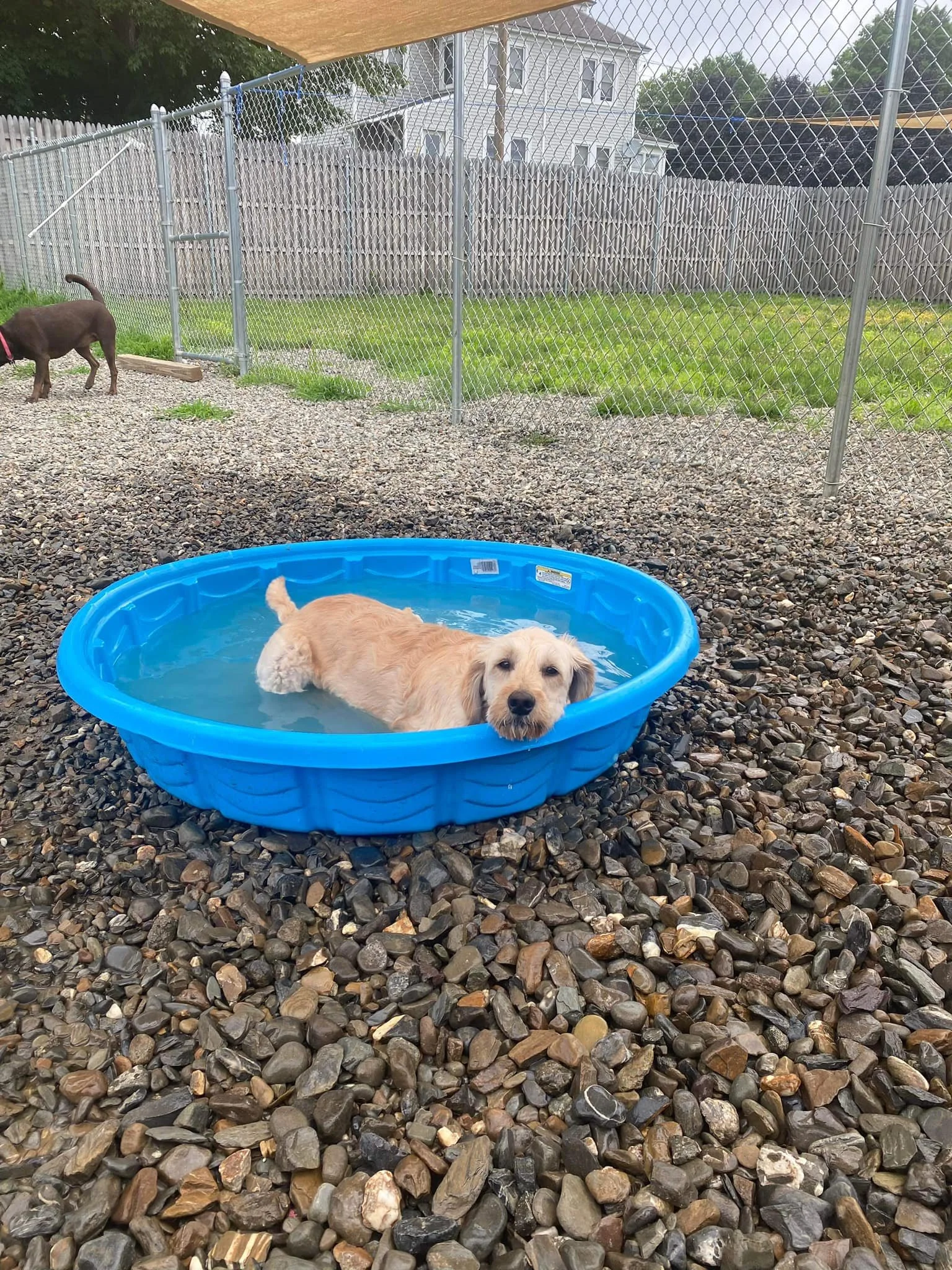 pool3.jpg