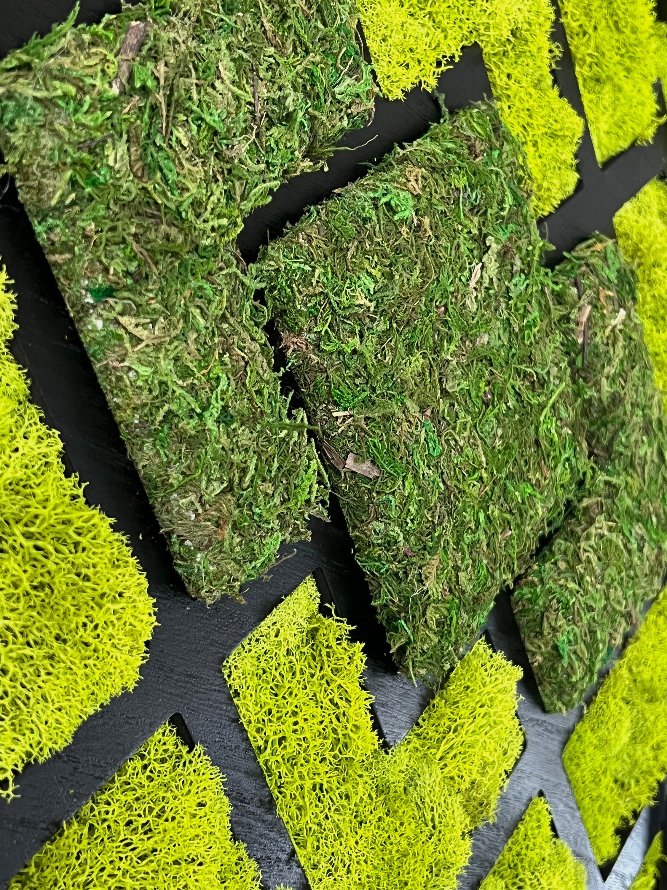 https://i.etsystatic.com/27385358/r/il/9f3099/3965847228/il_fullxfull.3965847228_tp6n.jpg