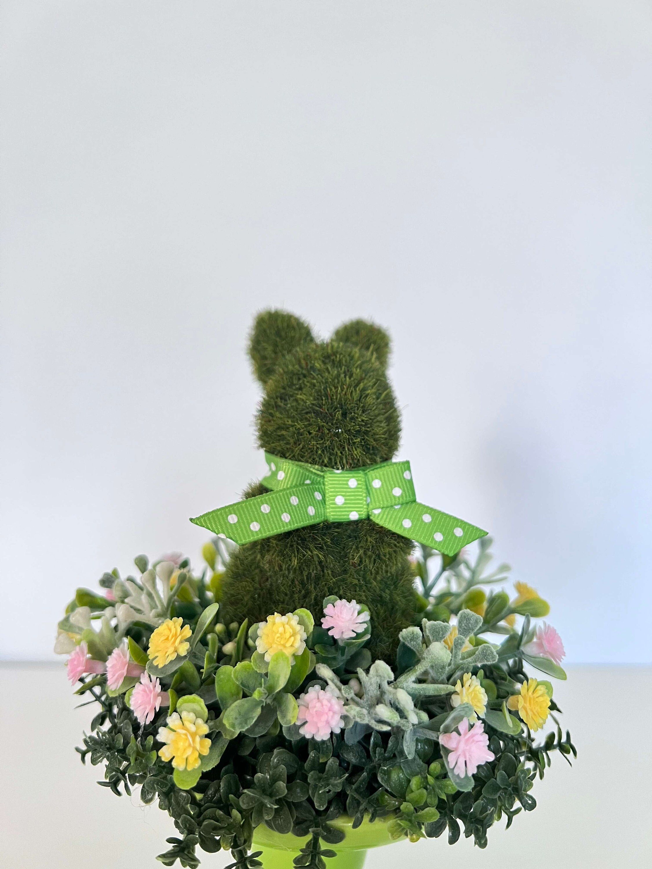 https://i.etsystatic.com/27385358/r/il/b3f1ad/4629883741/il_fullxfull.4629883741_rddl.jpg