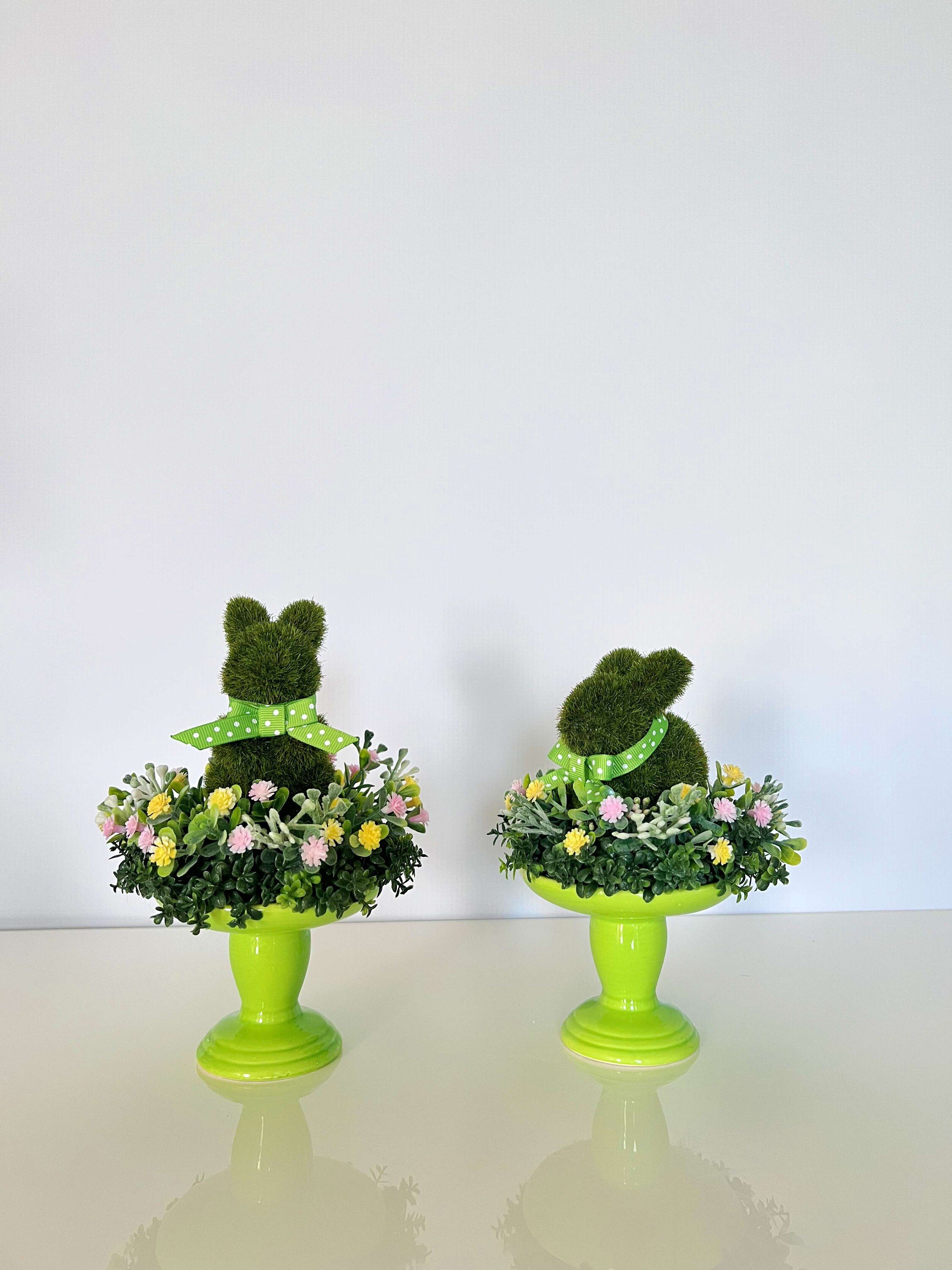 https://i.etsystatic.com/27385358/r/il/8a1762/4629885205/il_fullxfull.4629885205_j7od.jpg