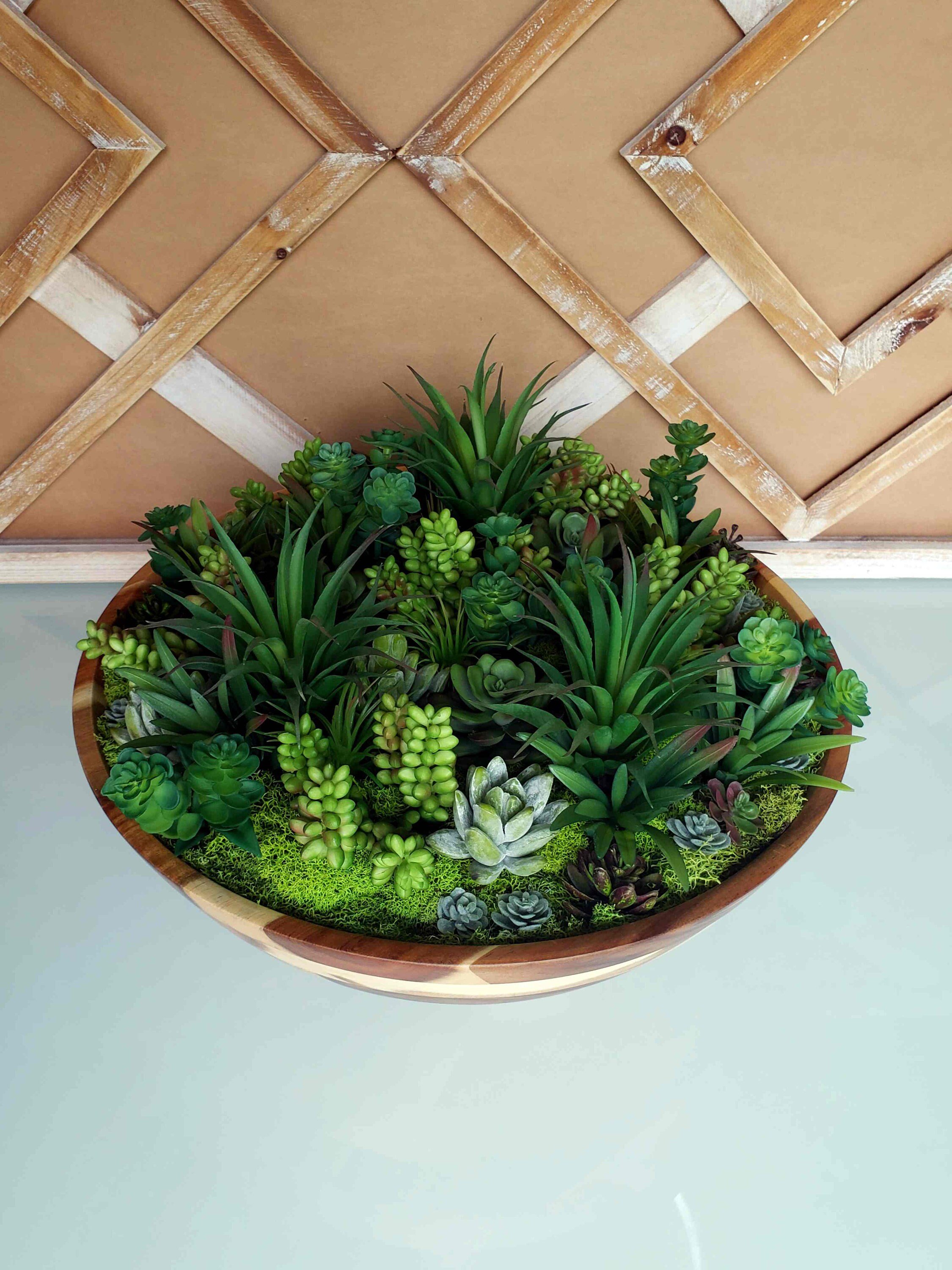 https://i.etsystatic.com/27385358/r/il/5fd5e3/3684472938/il_fullxfull.3684472938_mmmx.jpg