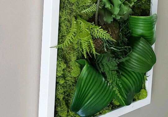 https://i.etsystatic.com/27385358/r/il/291528/4001396389/il_fullxfull.4001396389_8ggi.jpg