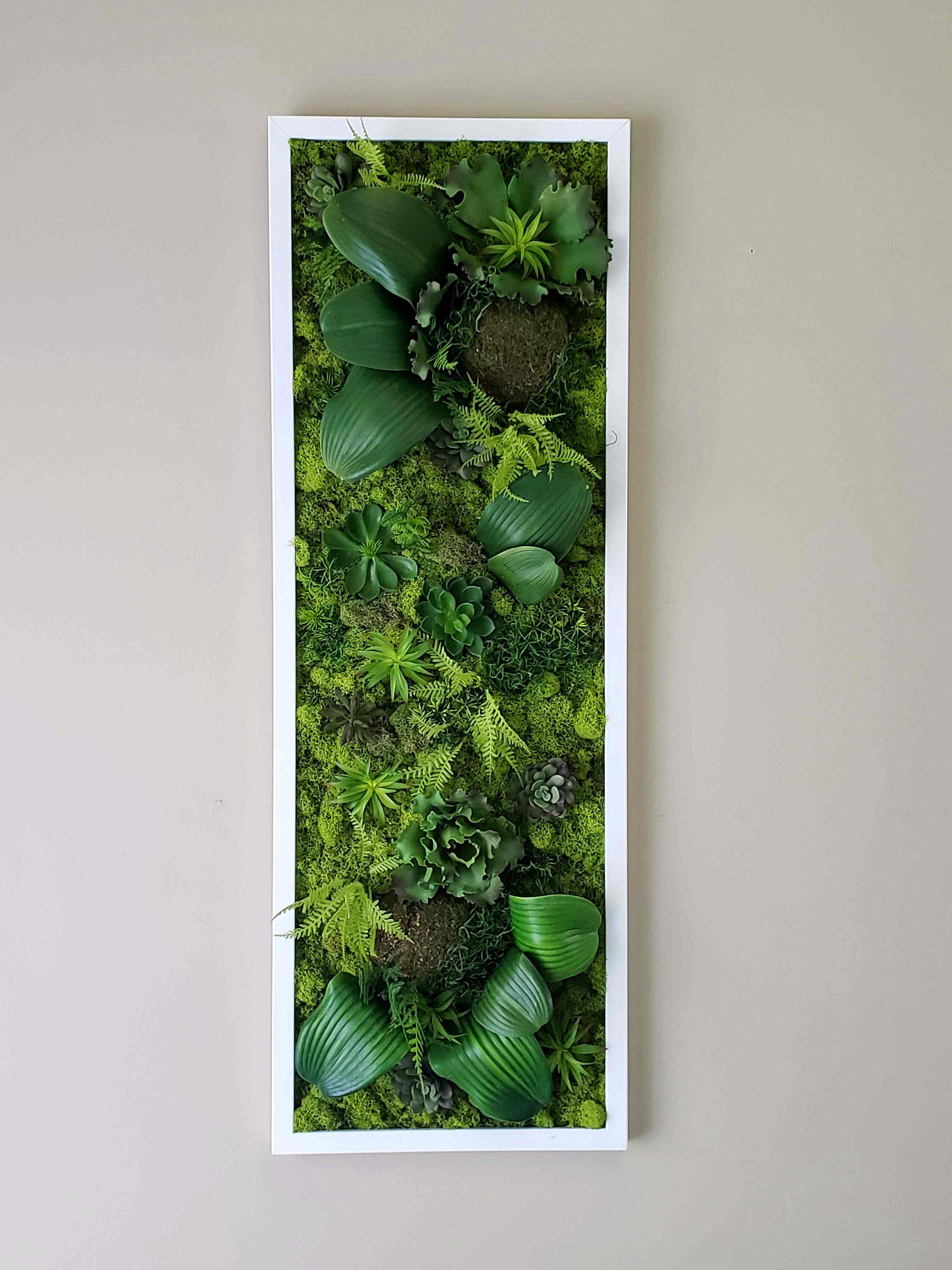 https://i.etsystatic.com/27385358/r/il/9b49d9/3022421745/il_fullxfull.3022421745_6zfq.jpg