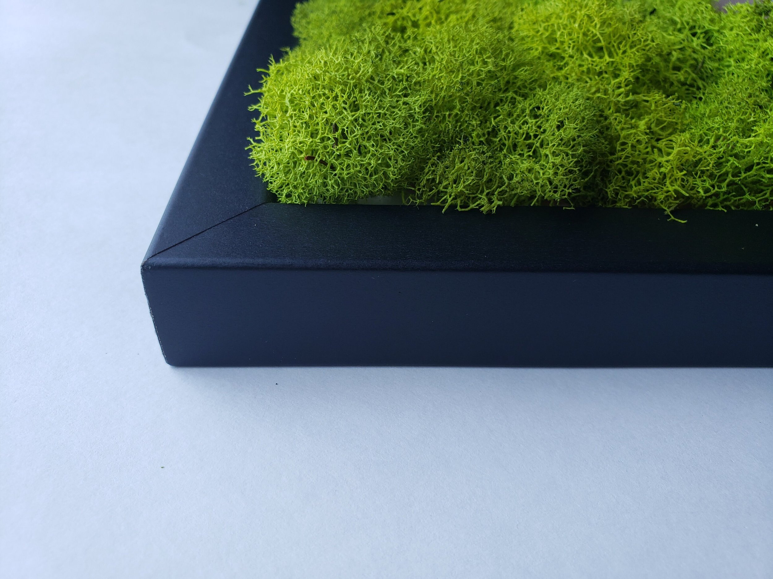 https://i.etsystatic.com/27385358/r/il/91e93b/3172232133/il_fullxfull.3172232133_7upd.jpg