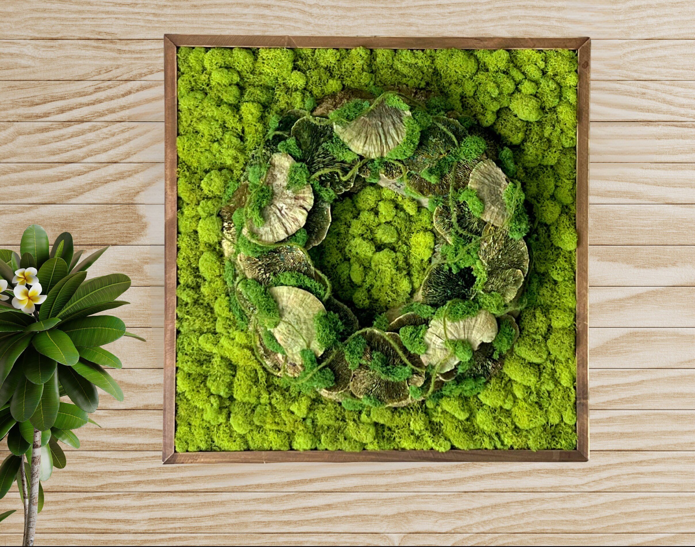 https://i.etsystatic.com/27385358/r/il/bcc915/4902339500/il_fullxfull.4902339500_h4vd.jpg