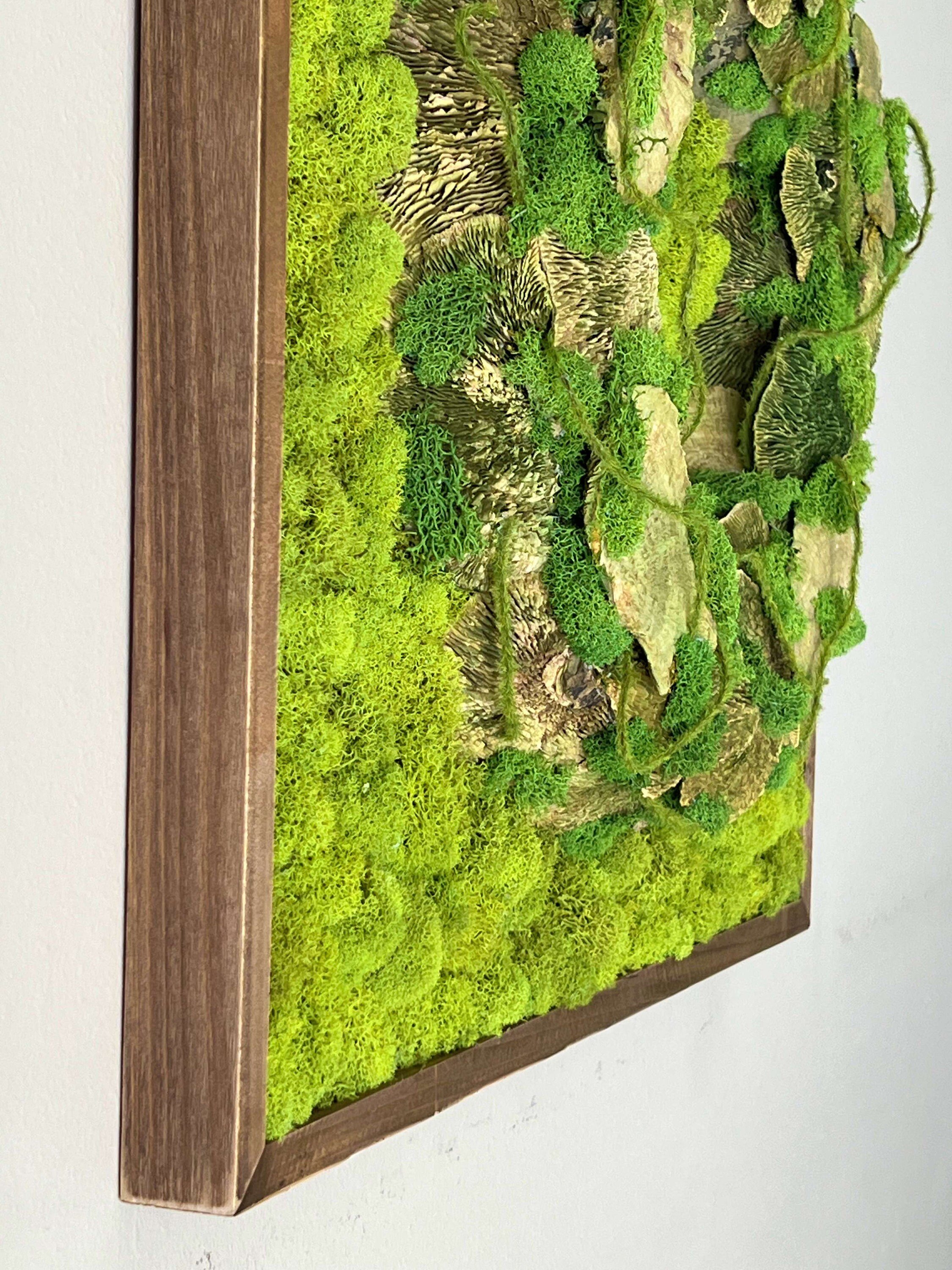 https://i.etsystatic.com/27385358/r/il/90f3ed/4944801867/il_fullxfull.4944801867_luch.jpg