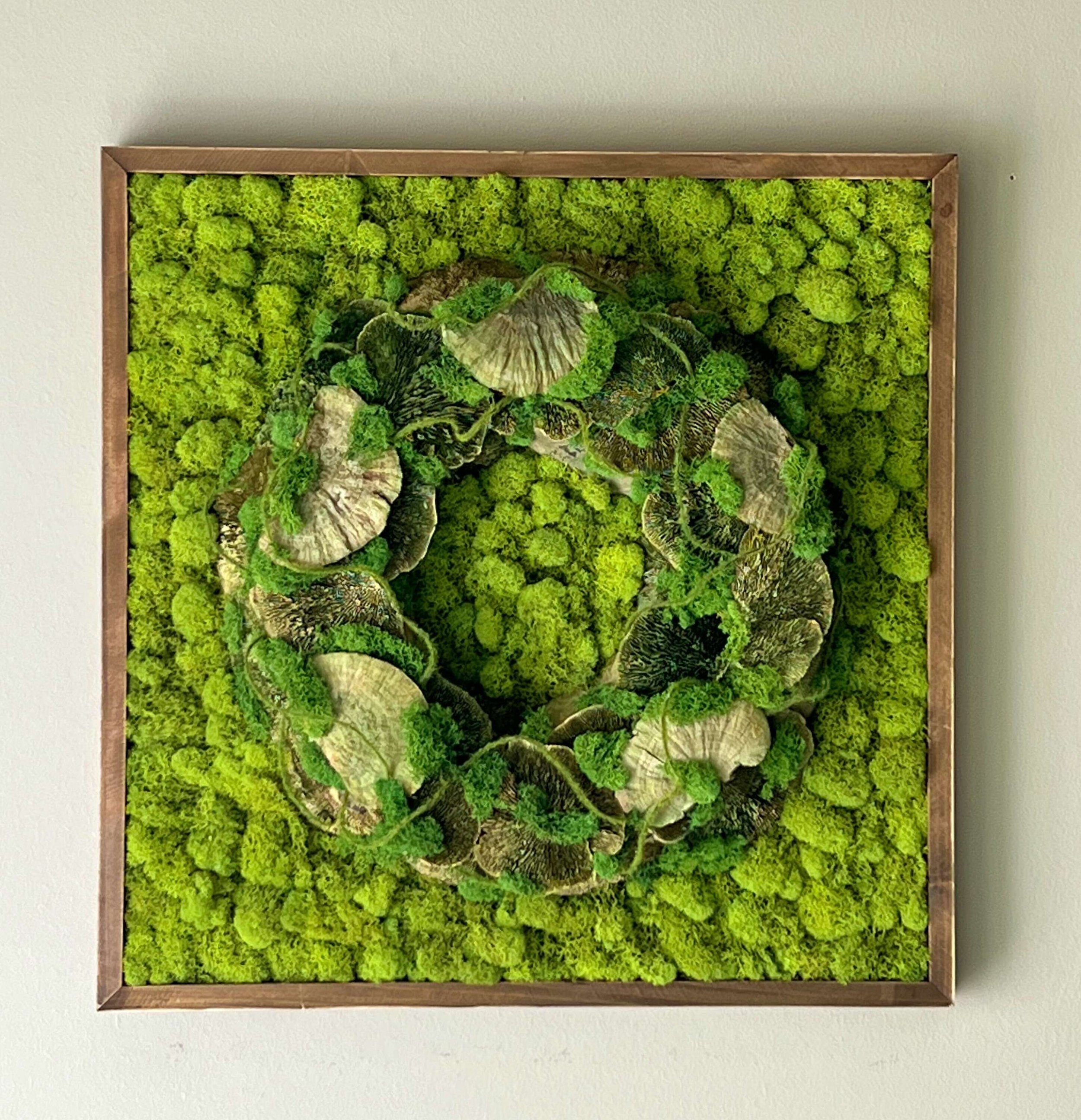 https://i.etsystatic.com/27385358/r/il/f4ac2c/4944872217/il_fullxfull.4944872217_1qrj.jpg