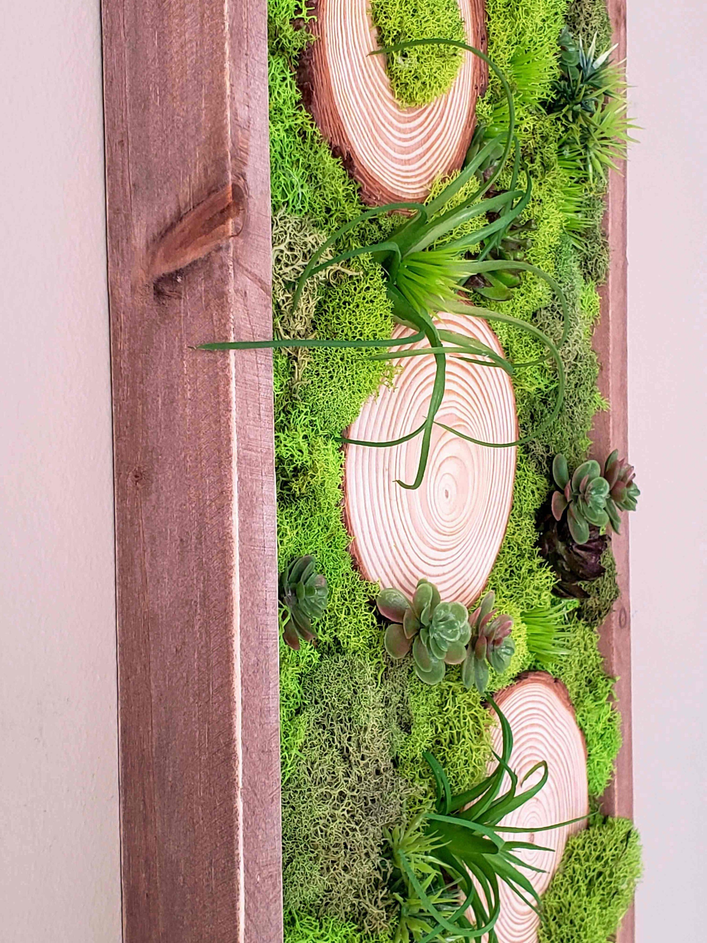https://i.etsystatic.com/27385358/r/il/8eb705/2971270934/il_fullxfull.2971270934_nq6t.jpg