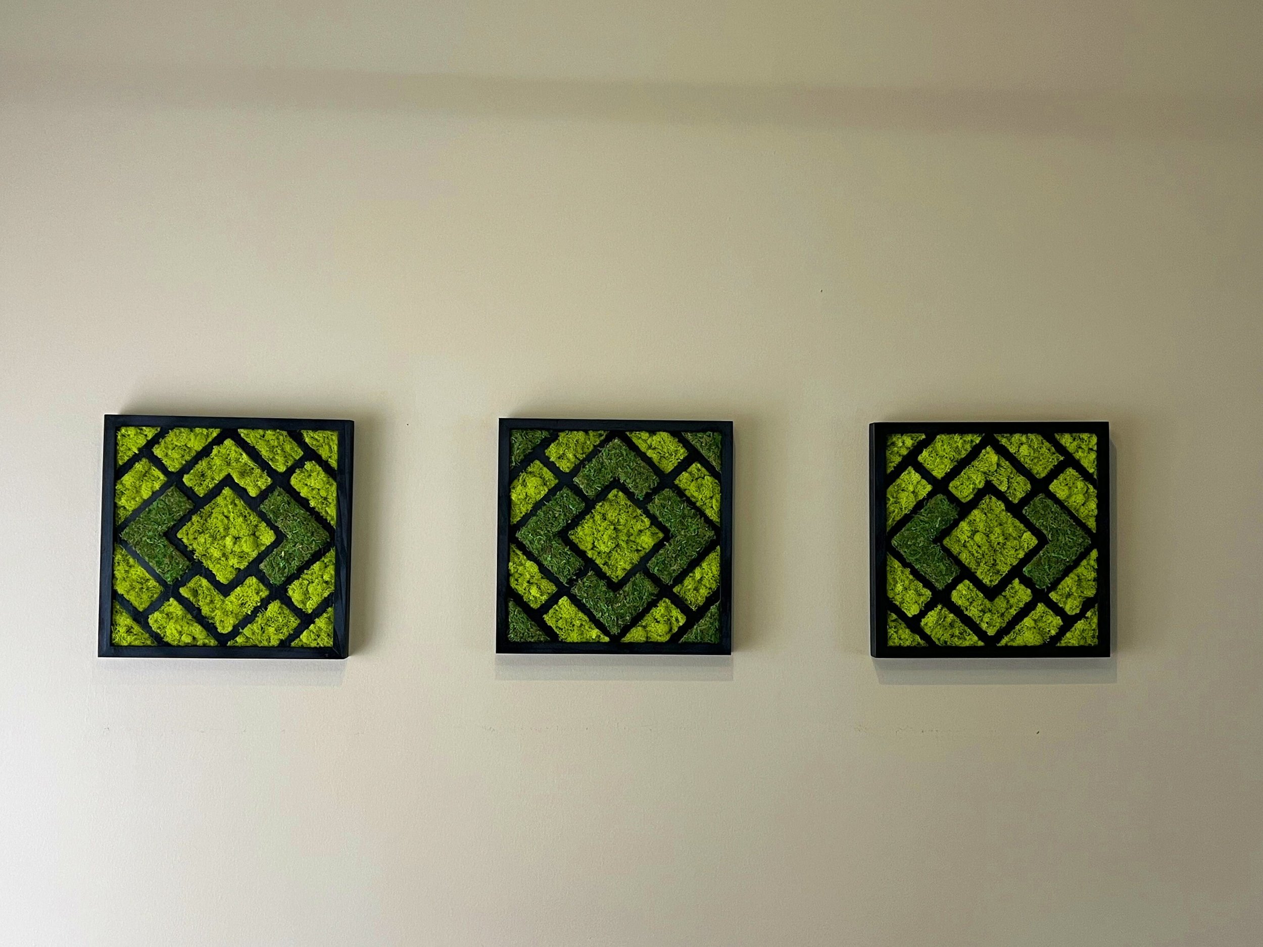 https://i.etsystatic.com/27385358/r/il/9e97bd/3974398162/il_fullxfull.3974398162_bm64.jpg