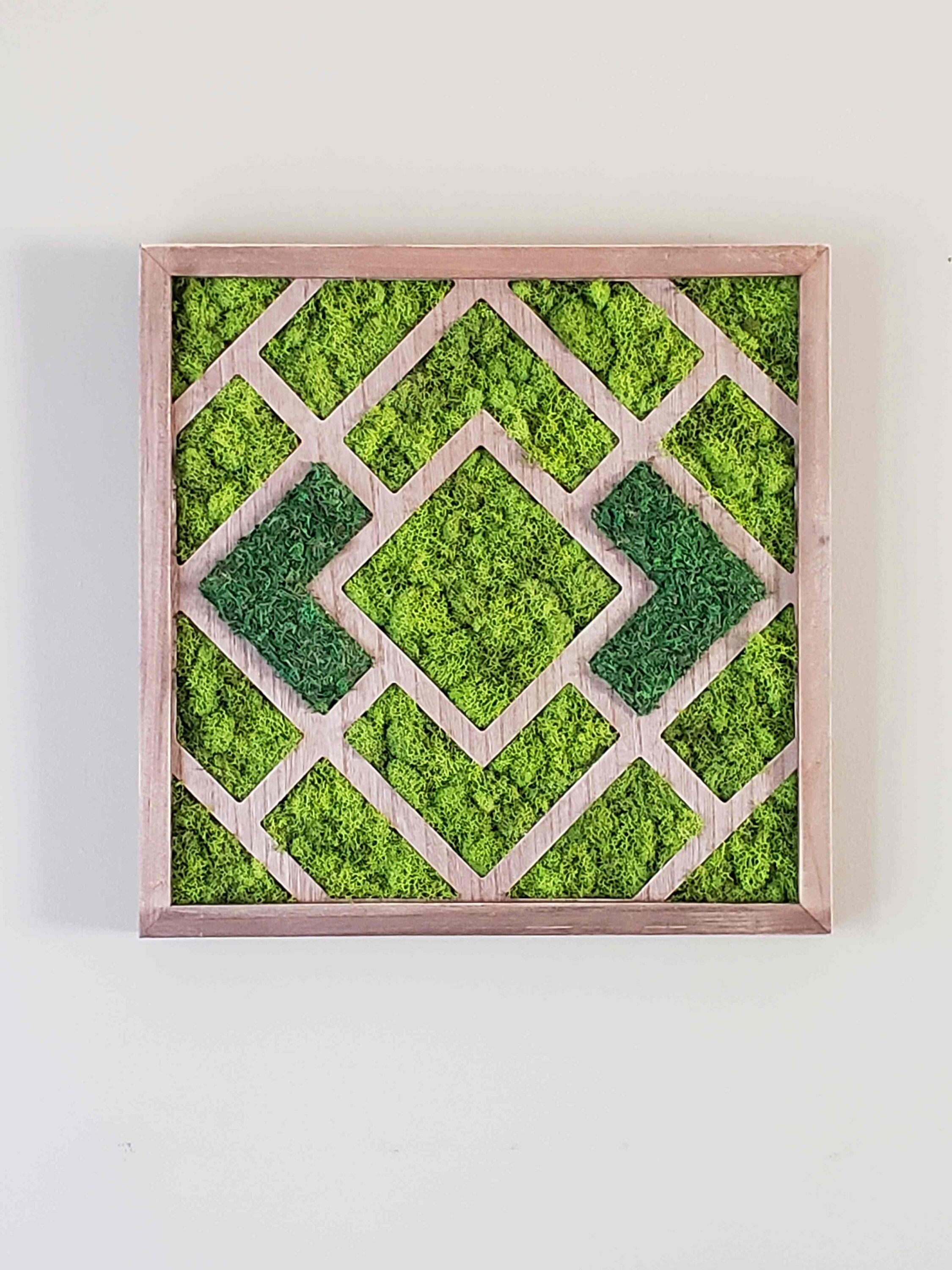 https://i.etsystatic.com/27385358/r/il/d64f0f/3277660974/il_fullxfull.3277660974_6qos.jpg