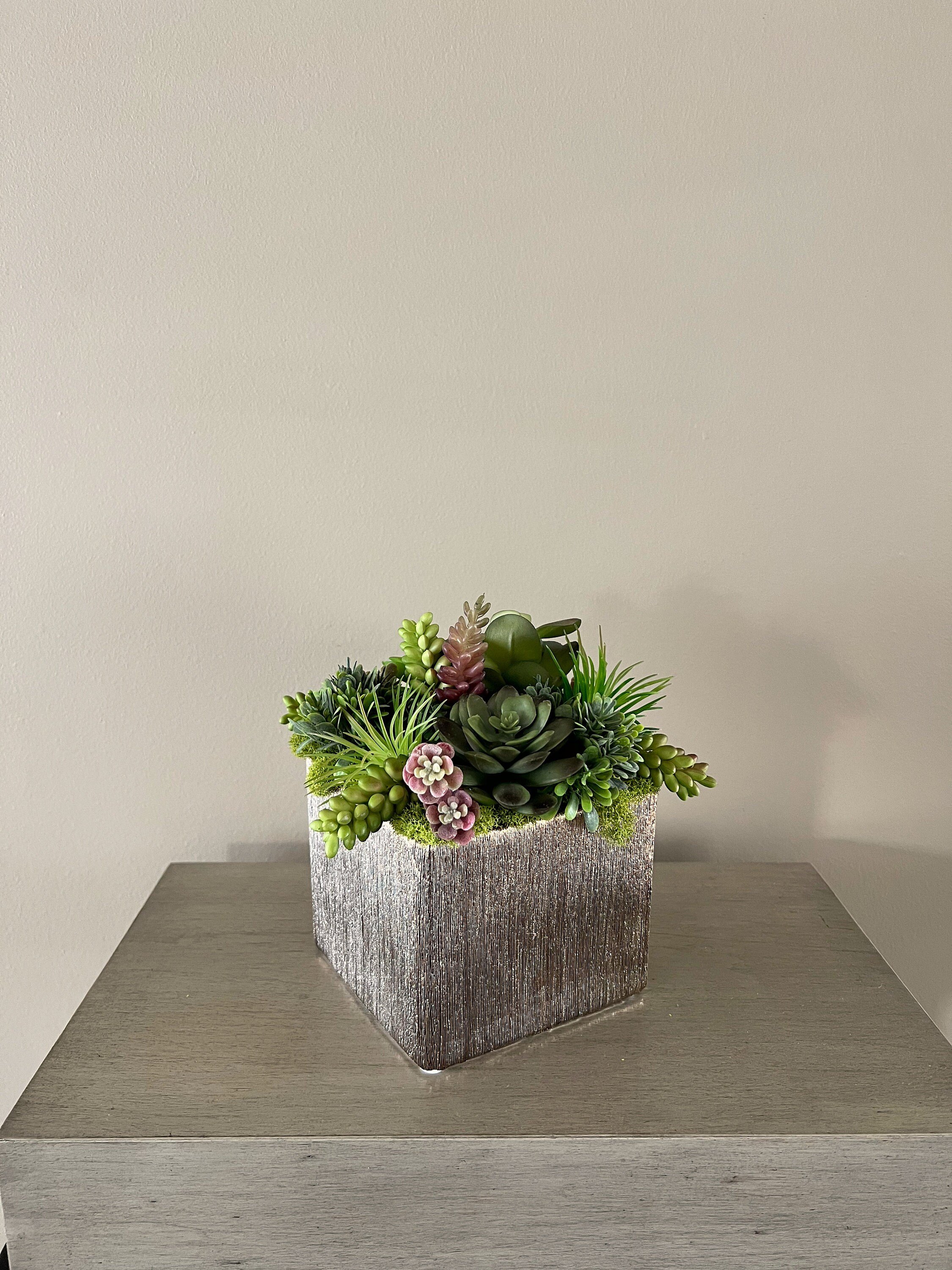 https://i.etsystatic.com/27385358/r/il/9e74cc/3828377320/il_fullxfull.3828377320_m6wt.jpg