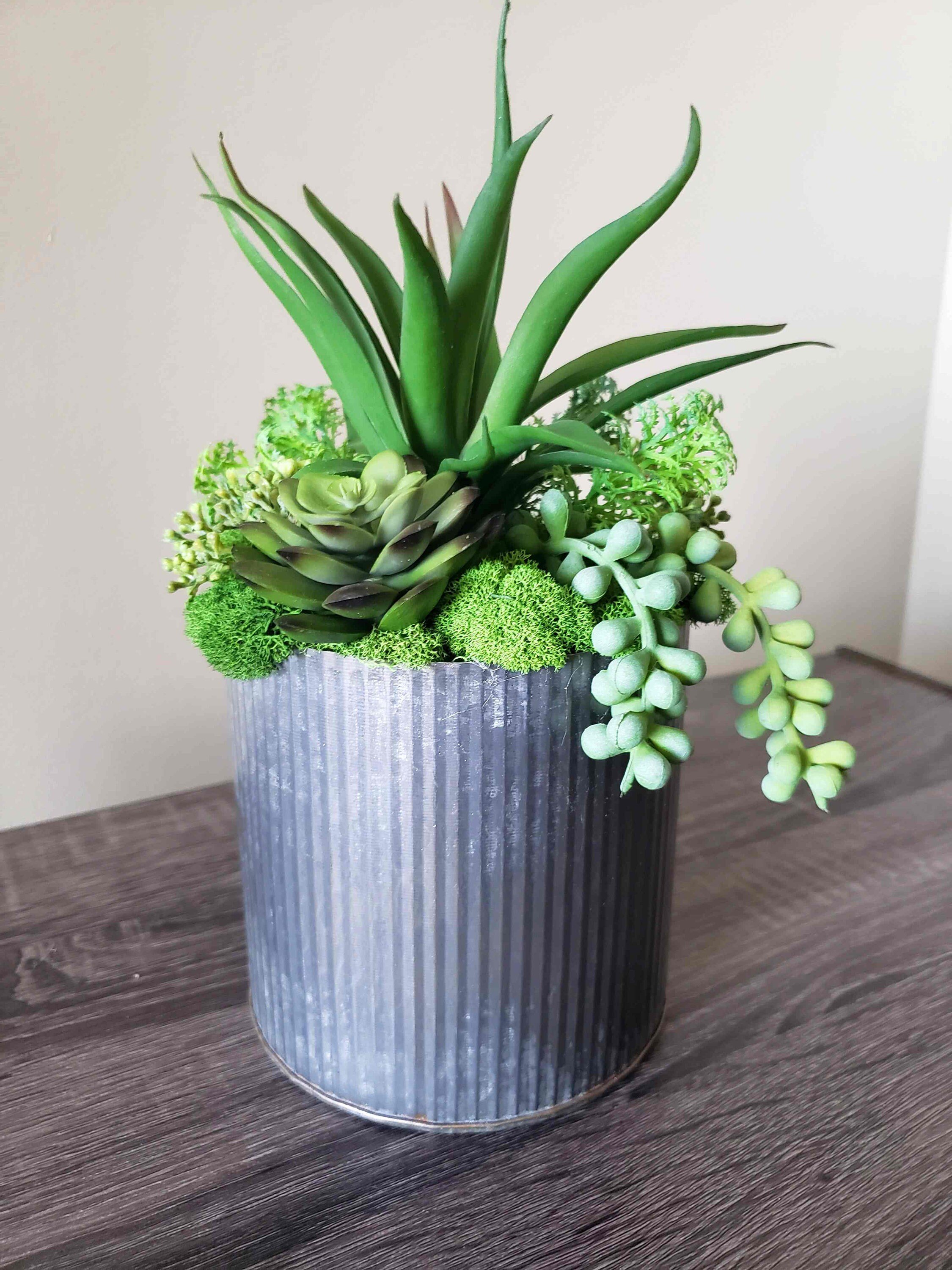 https://i.etsystatic.com/27385358/r/il/25f930/3620335301/il_fullxfull.3620335301_66hu.jpg