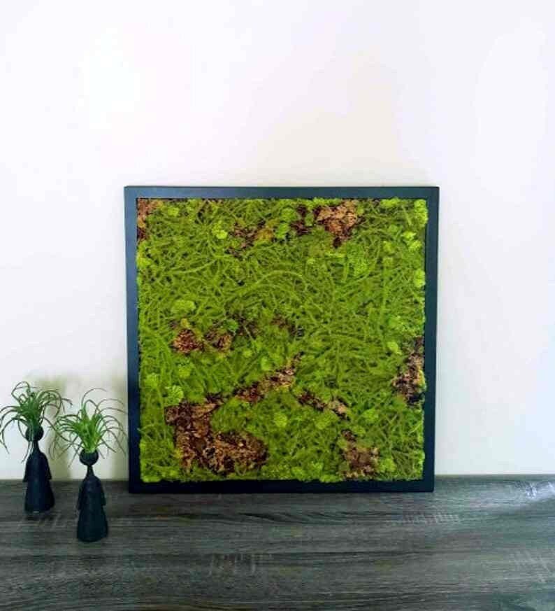 https://i.etsystatic.com/27385358/r/il/0b42ee/3636121328/il_fullxfull.3636121328_leu3.jpg