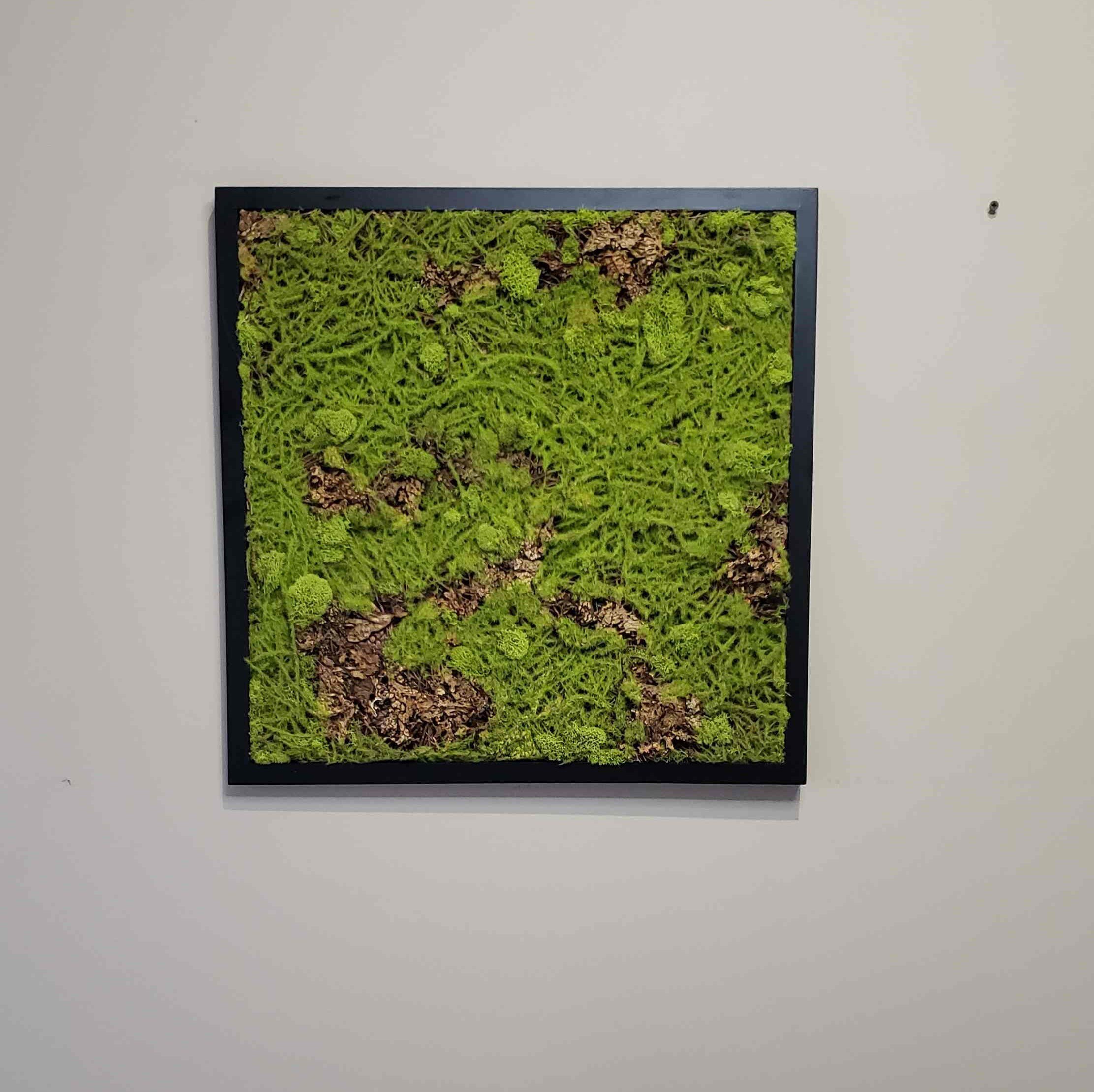 https://i.etsystatic.com/27385358/r/il/88e0ef/2864413187/il_fullxfull.2864413187_ajk1.jpg