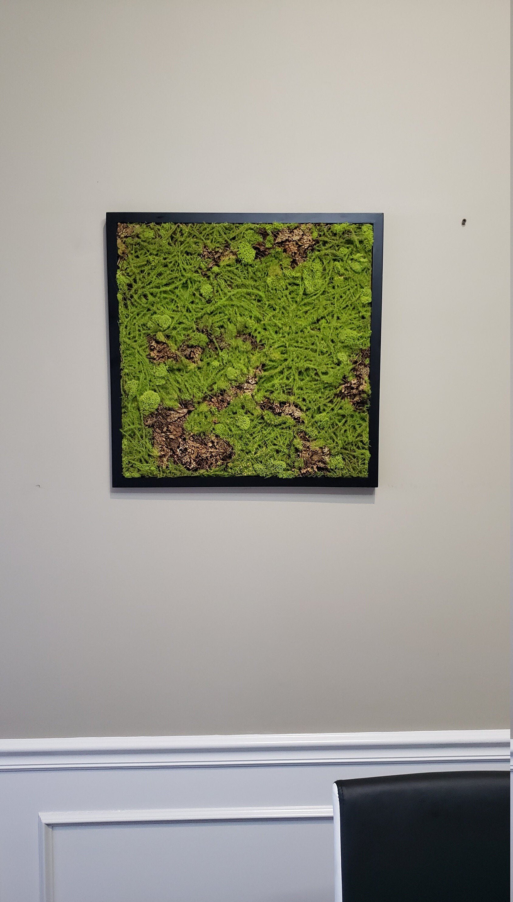https://i.etsystatic.com/27385358/r/il/86afe3/2816752054/il_fullxfull.2816752054_h5lg.jpg