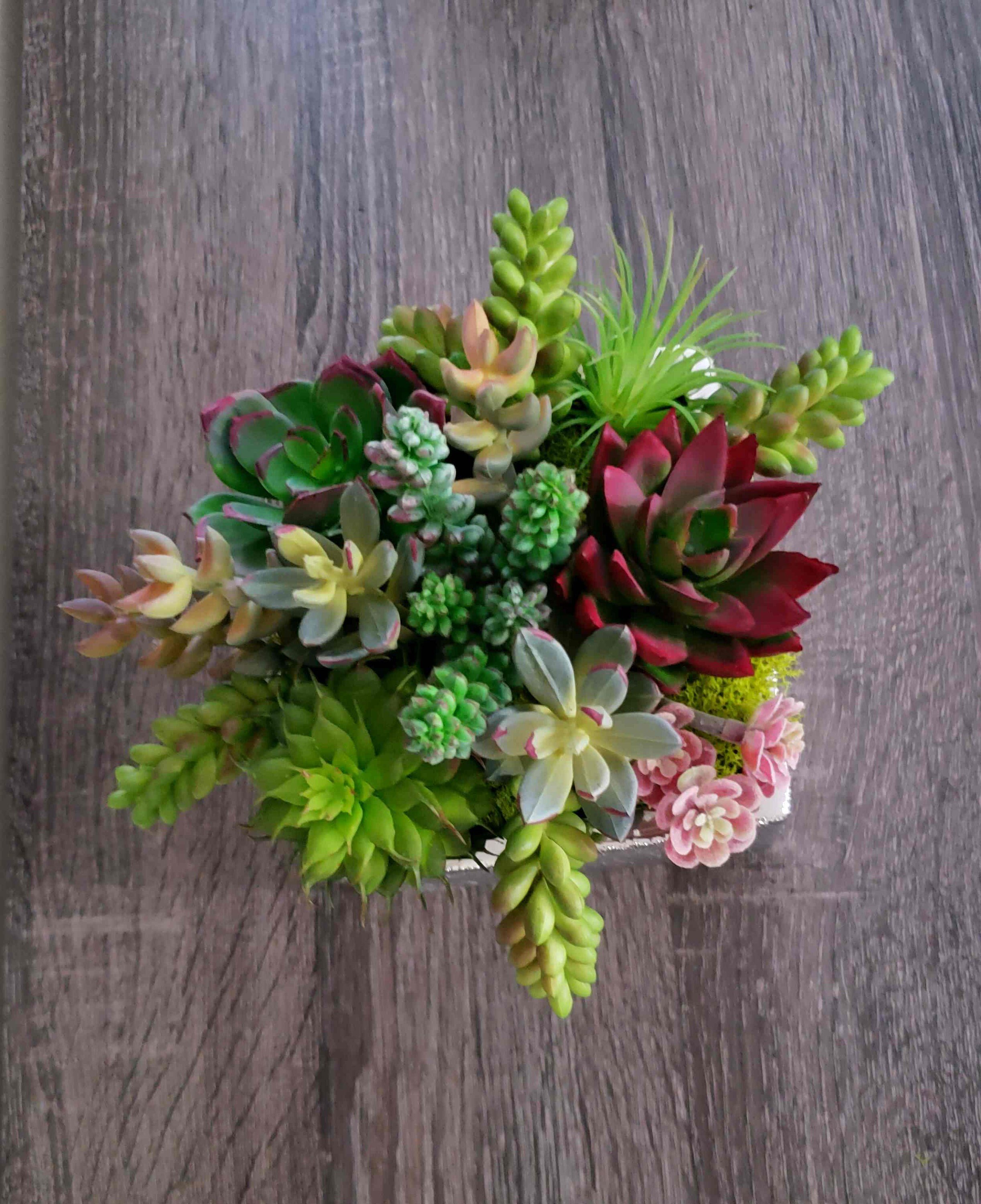 https://i.etsystatic.com/27385358/r/il/2dd715/3158261693/il_fullxfull.3158261693_96op.jpg