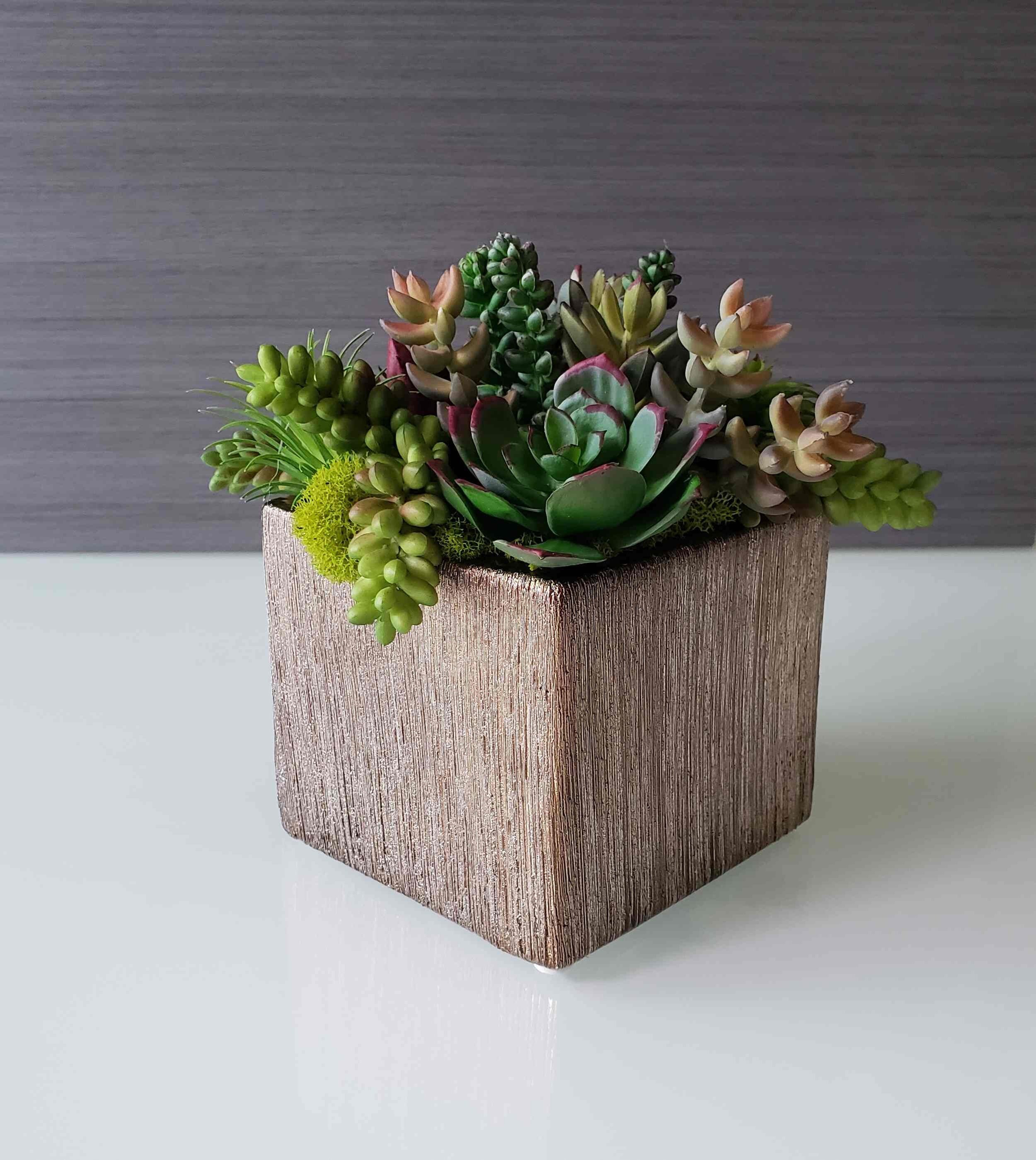 https://i.etsystatic.com/27385358/r/il/d1d034/3158261677/il_fullxfull.3158261677_q19b.jpg