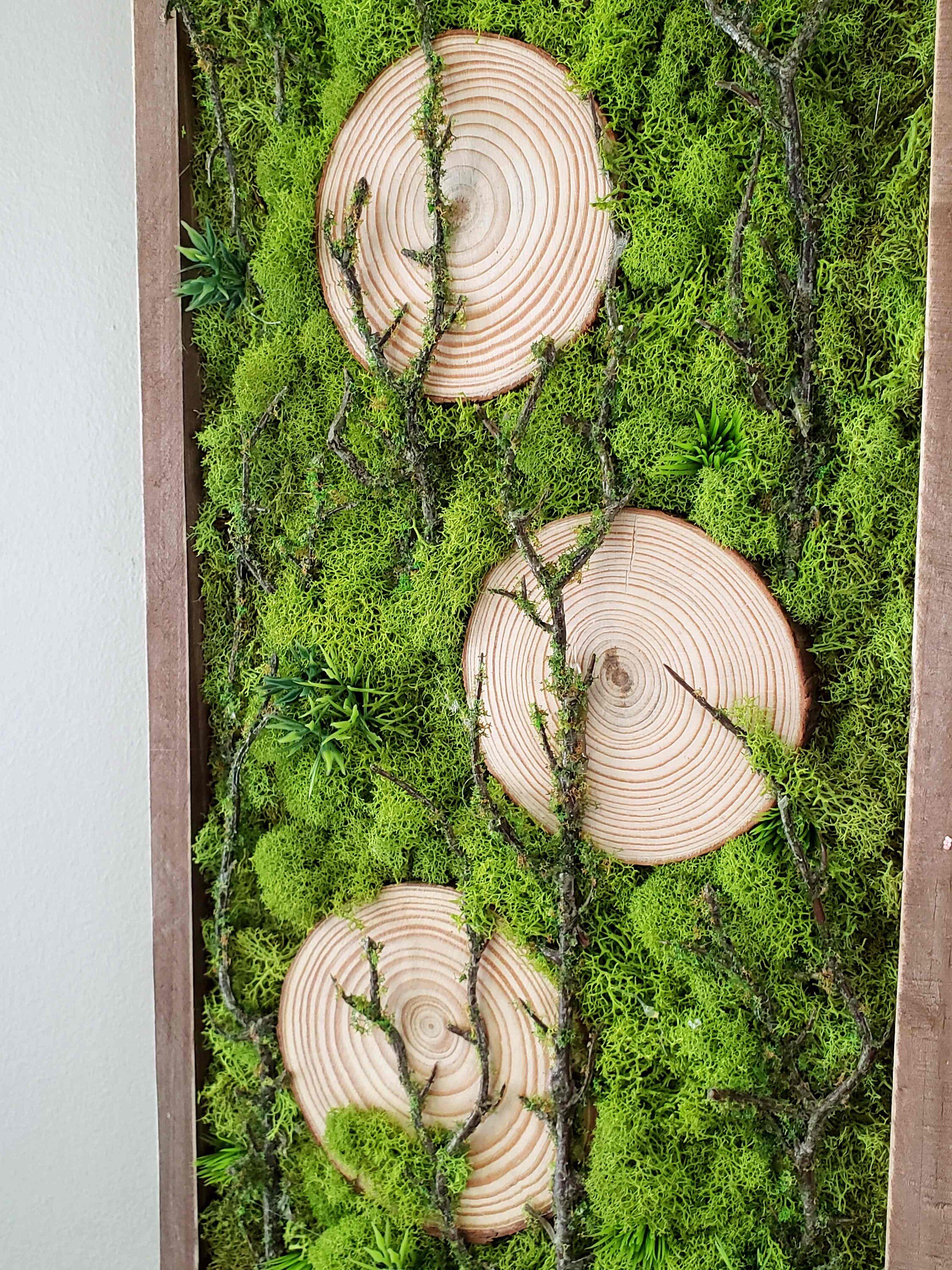 https://i.etsystatic.com/27385358/r/il/88b4e2/4766444494/il_fullxfull.4766444494_mj5x.jpg