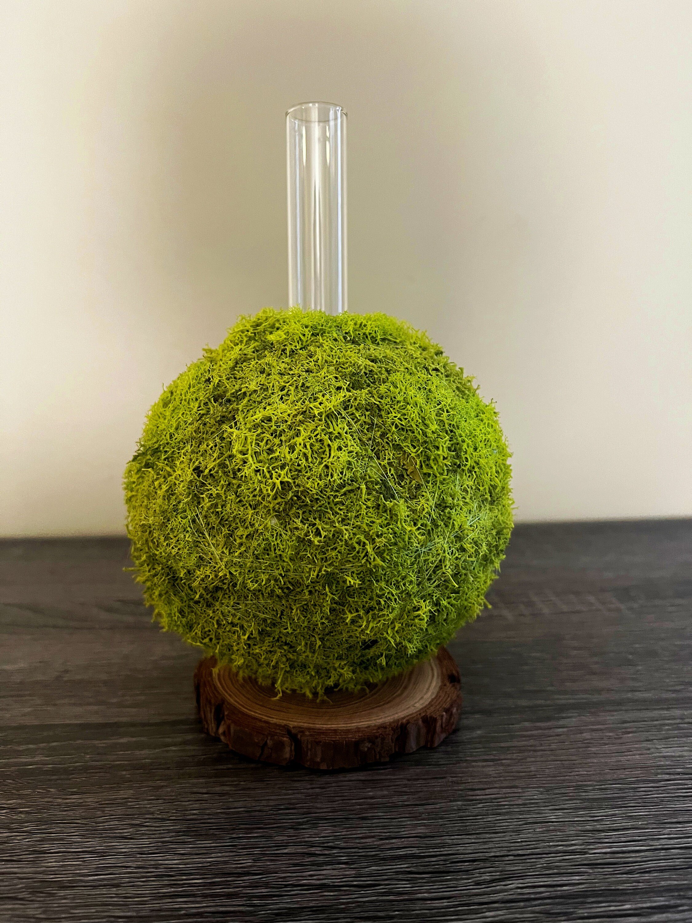 https://i.etsystatic.com/27385358/r/il/9146ec/4028112185/il_fullxfull.4028112185_7hzm.jpg