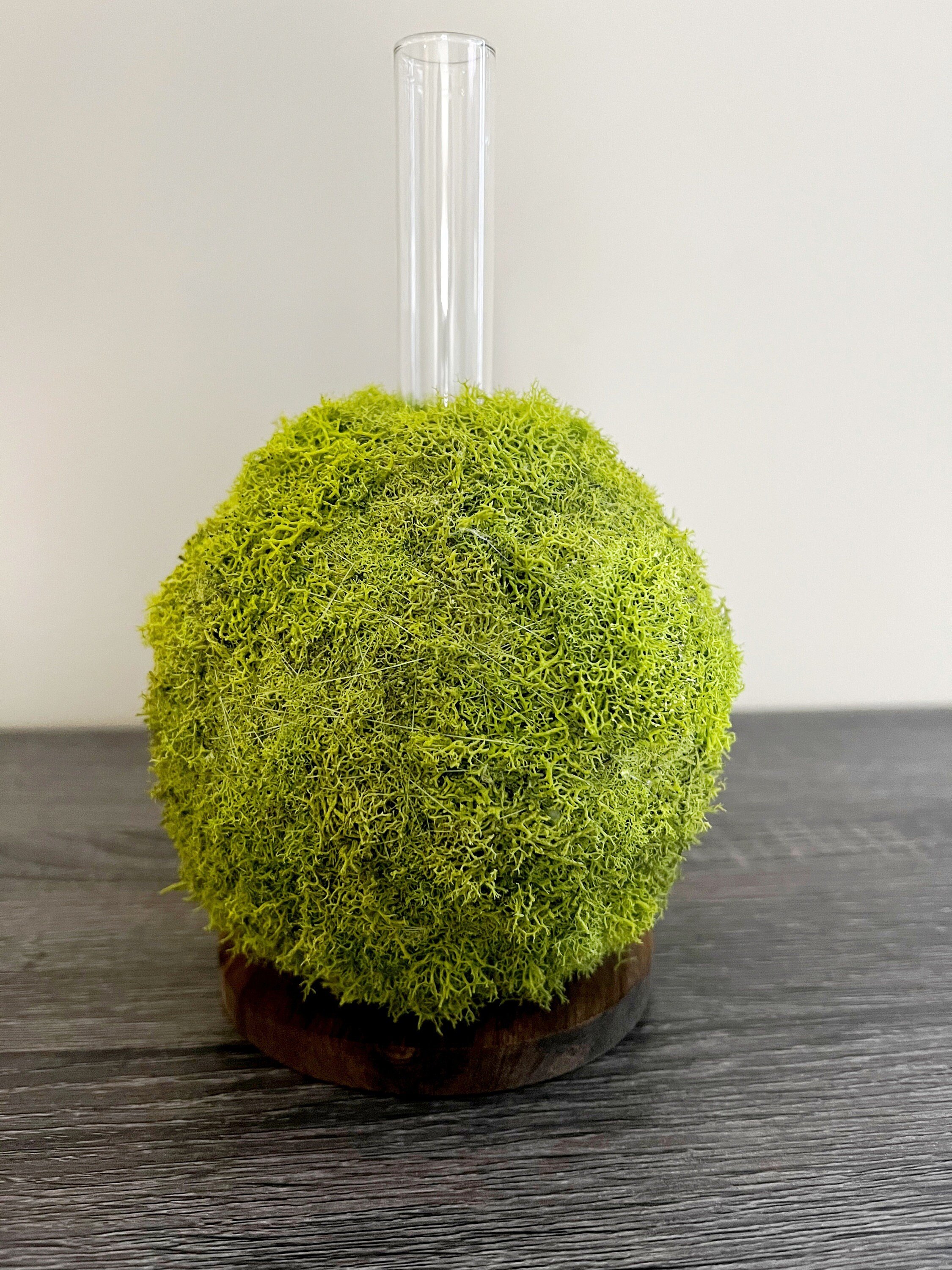 https://i.etsystatic.com/27385358/r/il/9fe34c/3980455496/il_fullxfull.3980455496_9qou.jpg